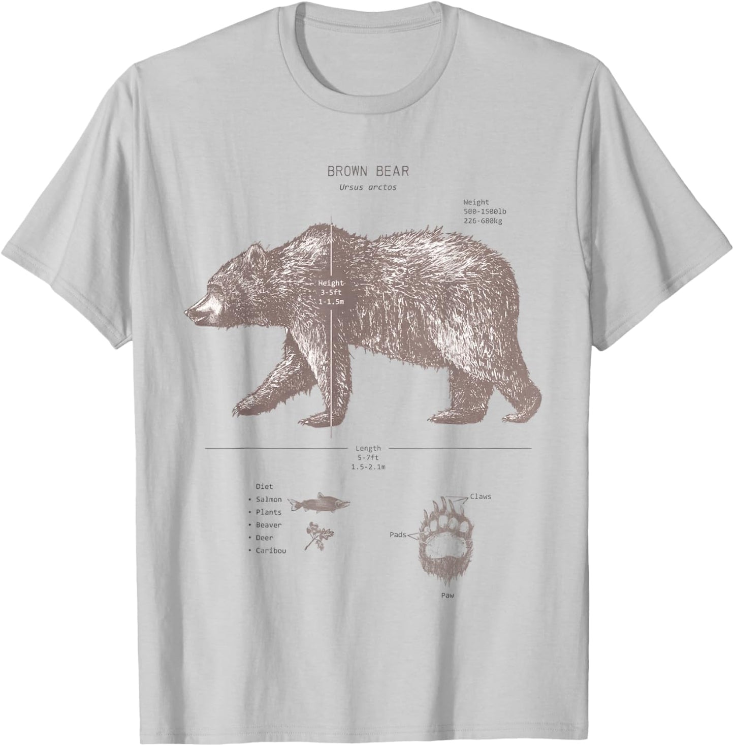Brown Bear Anatomy T-Shirt - T-Shirt | Ash