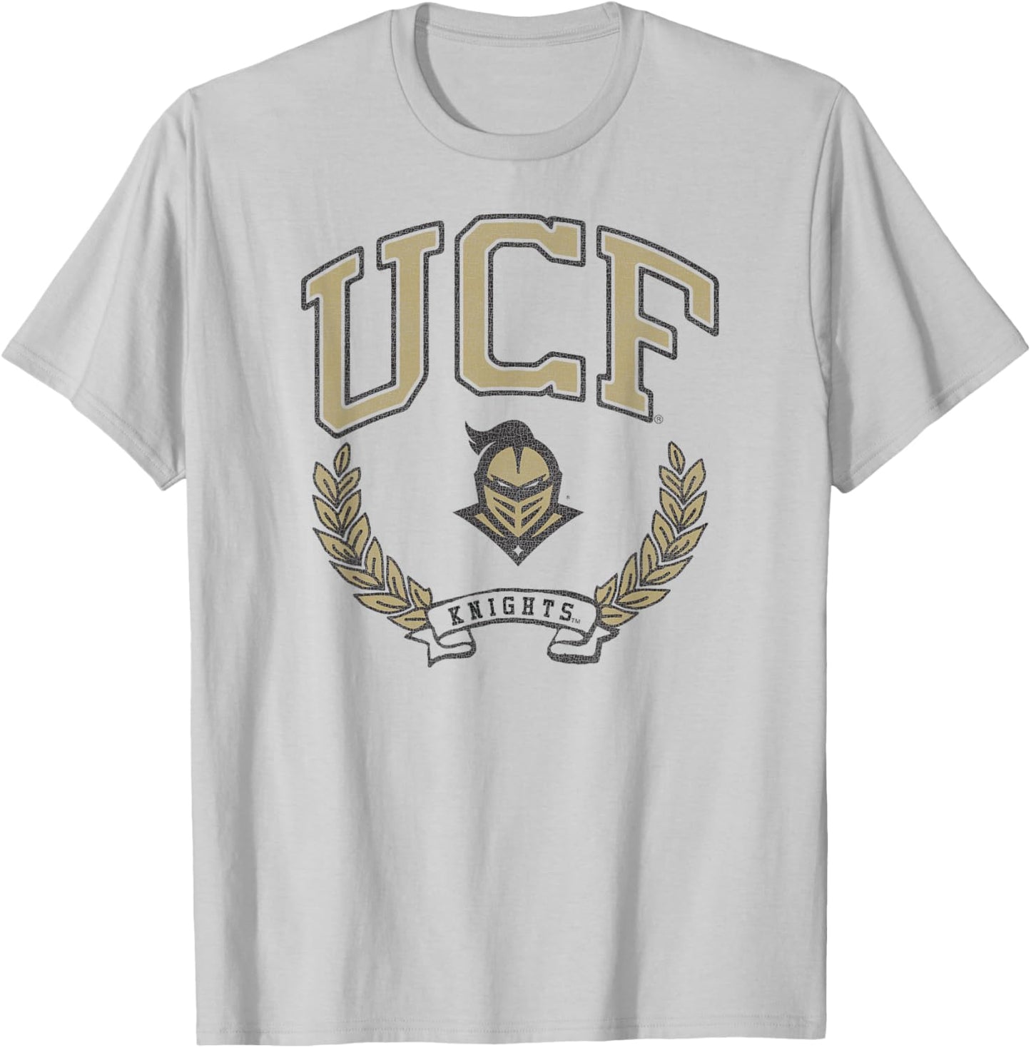 Central Florida Golden Knights Victory Vintage White T-Shirt - T-Shirt | Ash