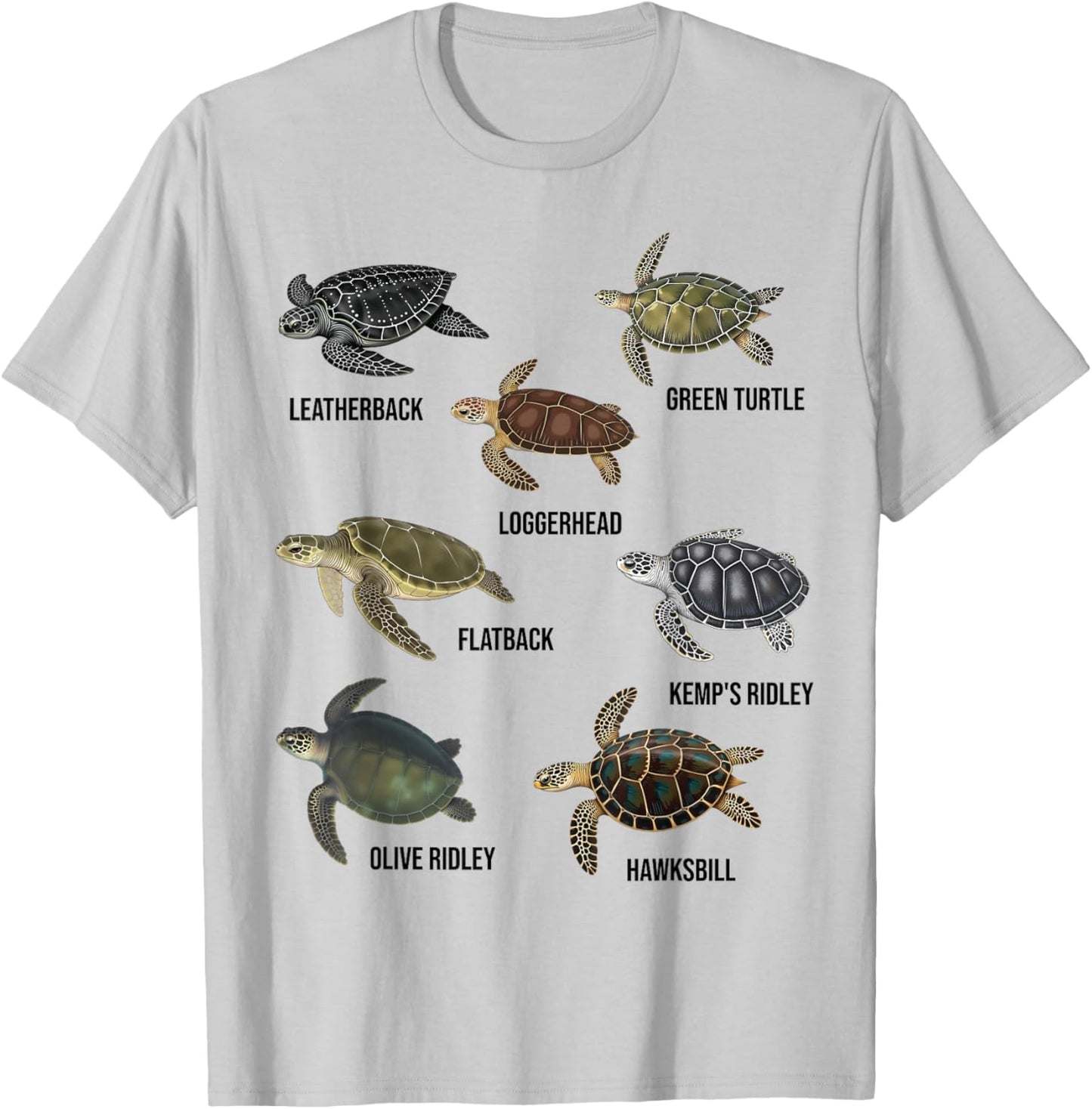 Types of Sea Turtles Marine Turtle Species Educational Chart T-Shirt - T-Shirt | Ash