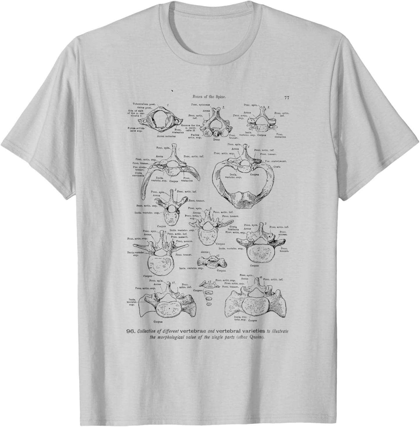 Human Spine Anatomy vintage bones of the spine for Physician T-Shirt - T-Shirt | Ash