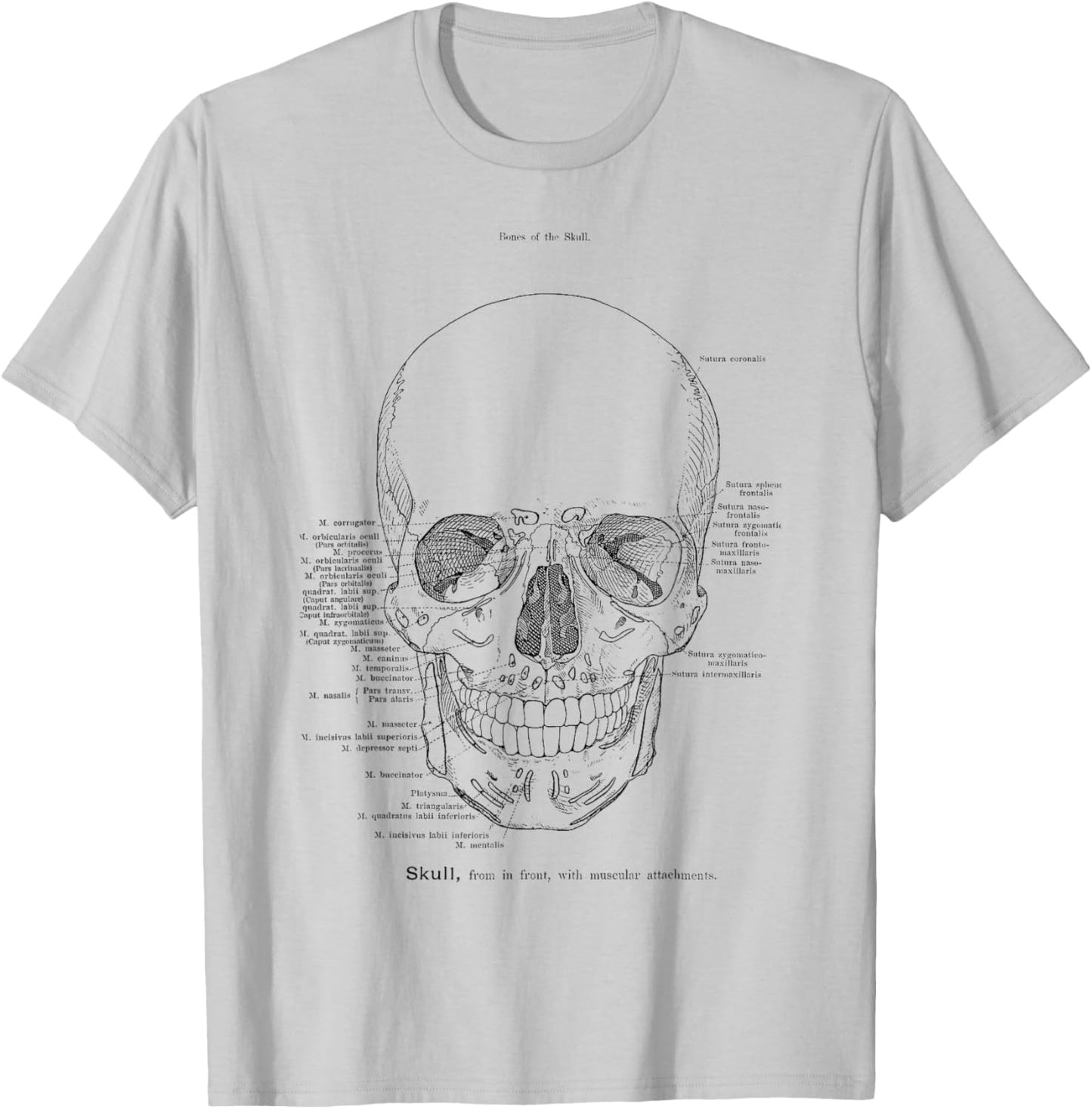 Skull Anatomy Model The Human Skull Anatomical Chart T-Shirt - T-Shirt | Ash