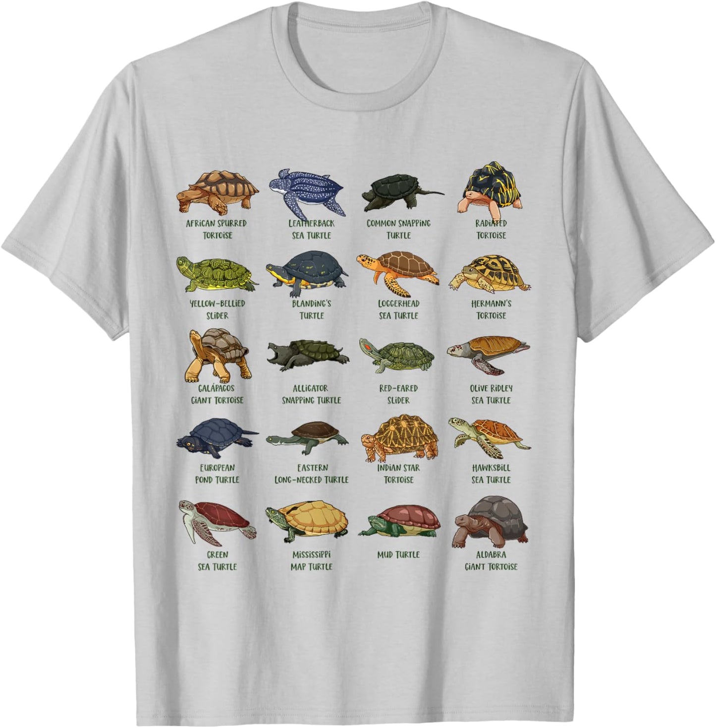Tortoises and Turtles - Types of Turtles T-Shirt - T-Shirt | Ash