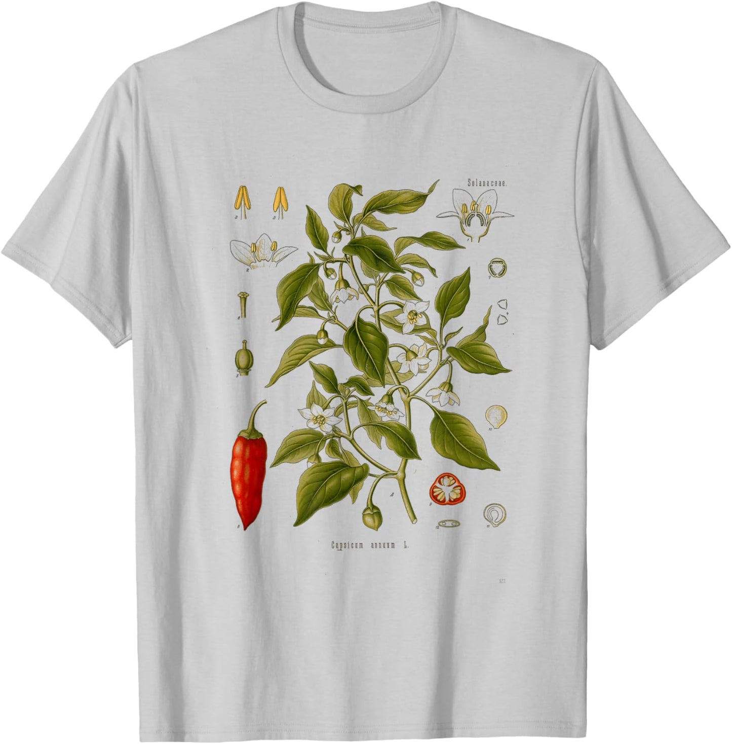Vintage Botanical chili red peppers Garden Botany T-Shirt - T-Shirt | Ash