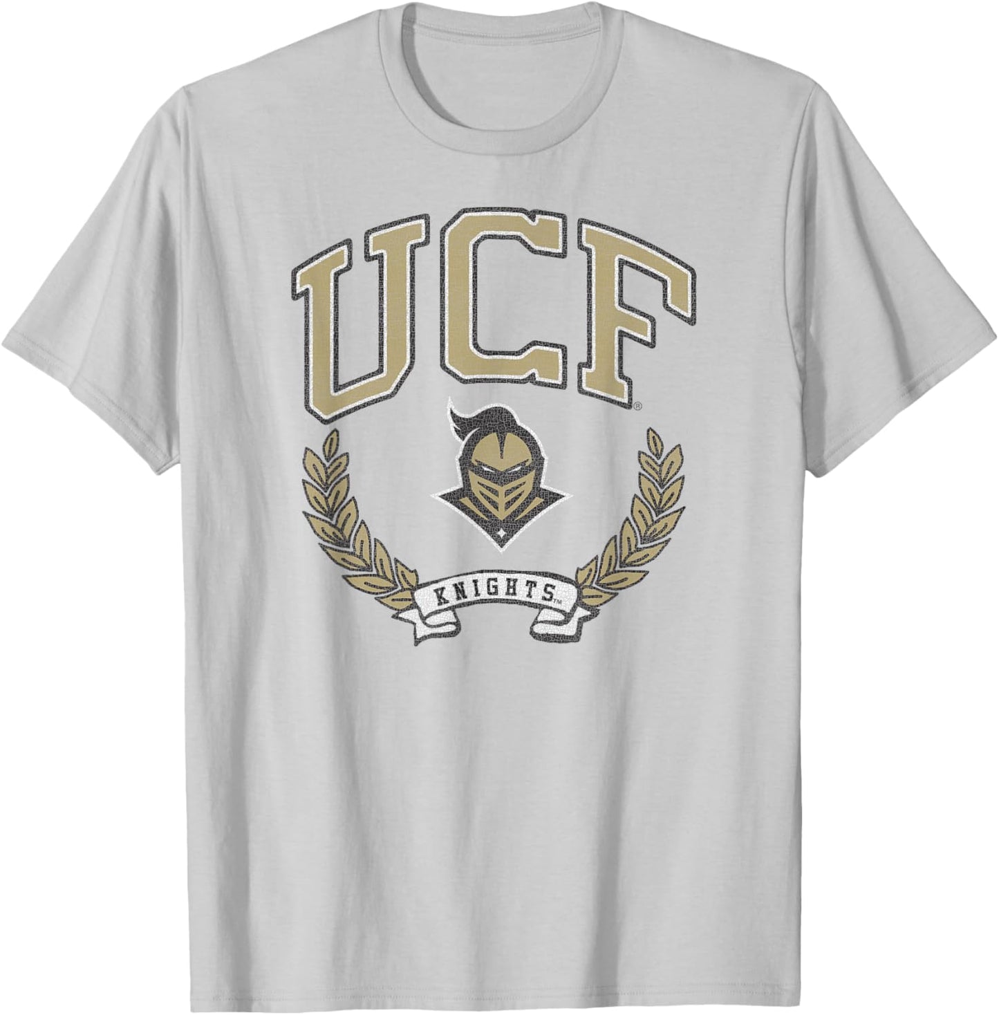 Central Florida Golden Knights Victory Vintage Gray T-Shirt - T-Shirt | Ash