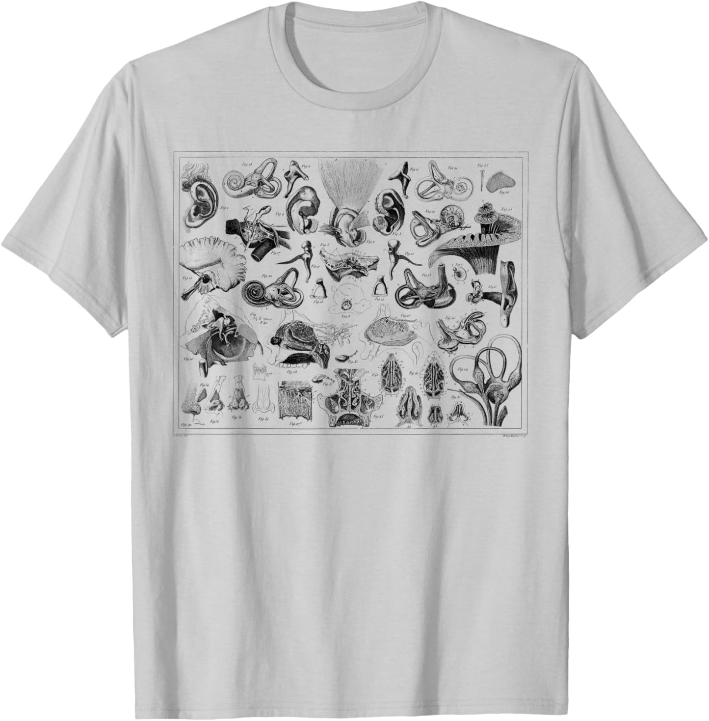 Inner Ear Anatomy Audiology Audiologist Vestibular Therapist T-Shirt - T-Shirt | Ash