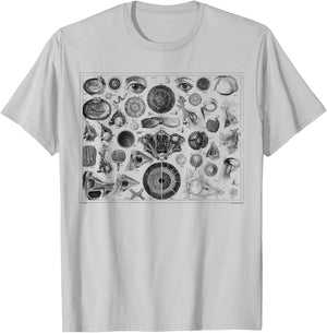 The Human Eye Eyeball Vintage 1800 Anatomy T-Shirt - T-Shirt | Ash