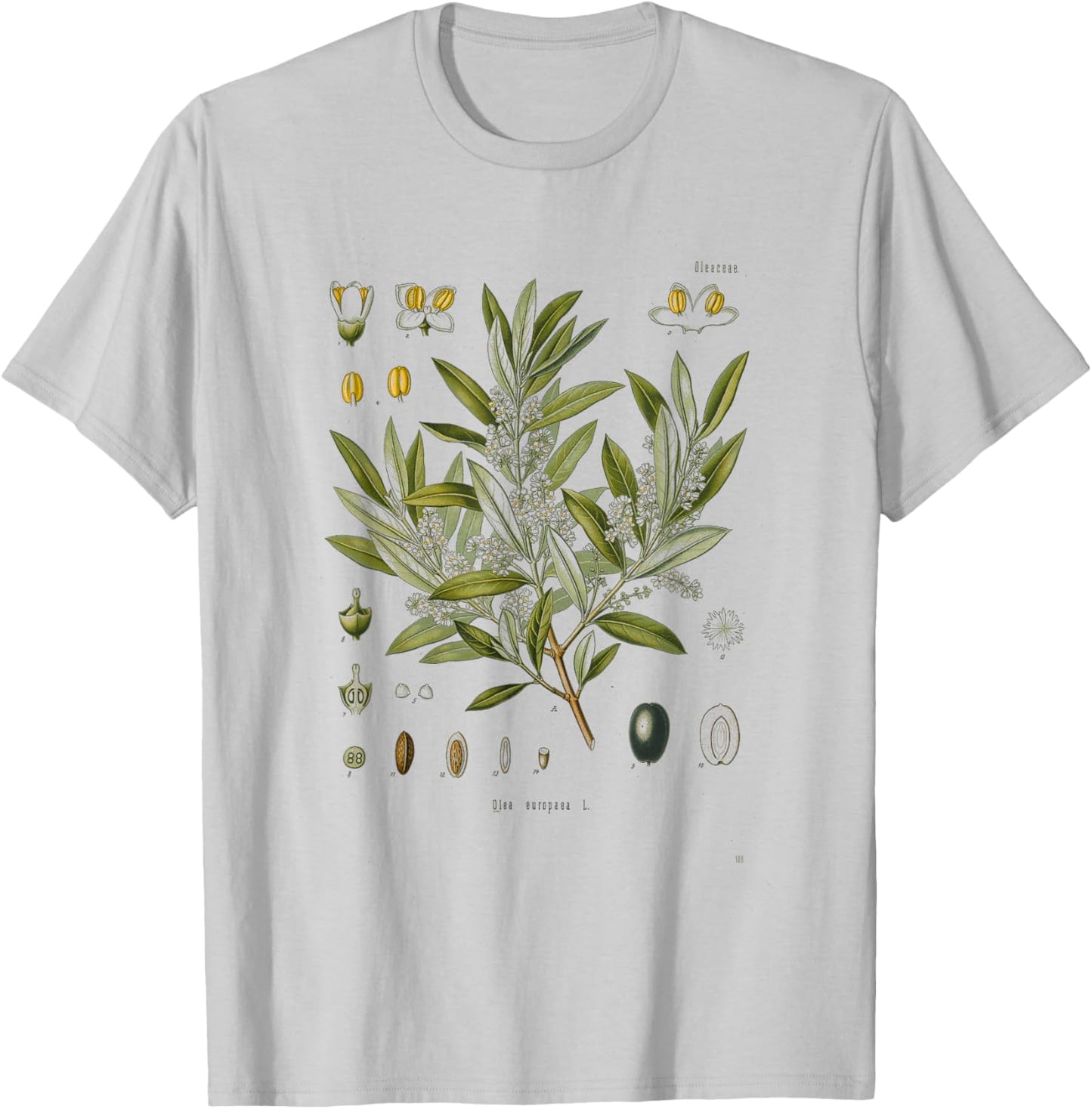 Vintage Botanical Garden Botany Olive tree T-Shirt - T-Shirt | Ash
