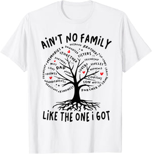 Ain't No Family Like The One I Got Matching Family Reunion T-Shirt - T-Shirt | White