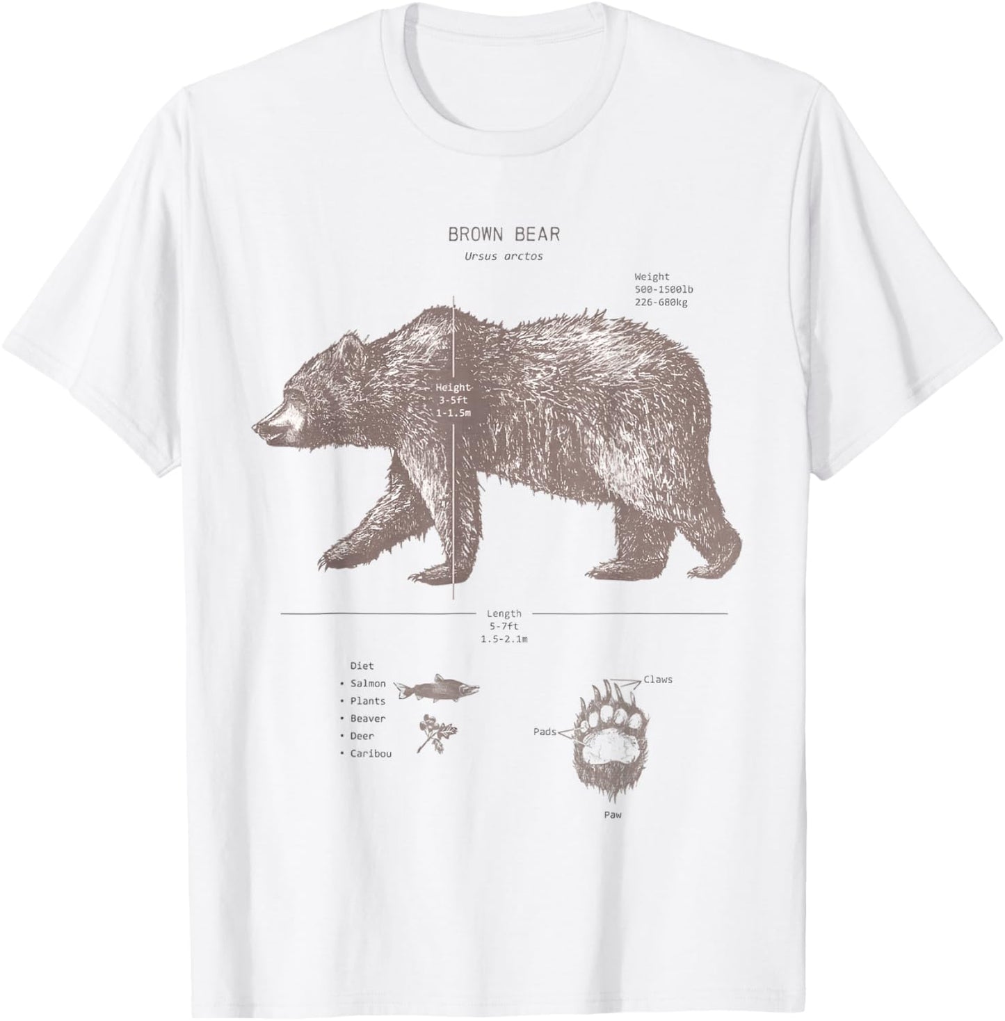 Brown Bear Anatomy T-Shirt - T-Shirt | White