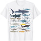 Types of Sharks Shark Species Identification Ocean Lovers T-Shirt - T-Shirt | White