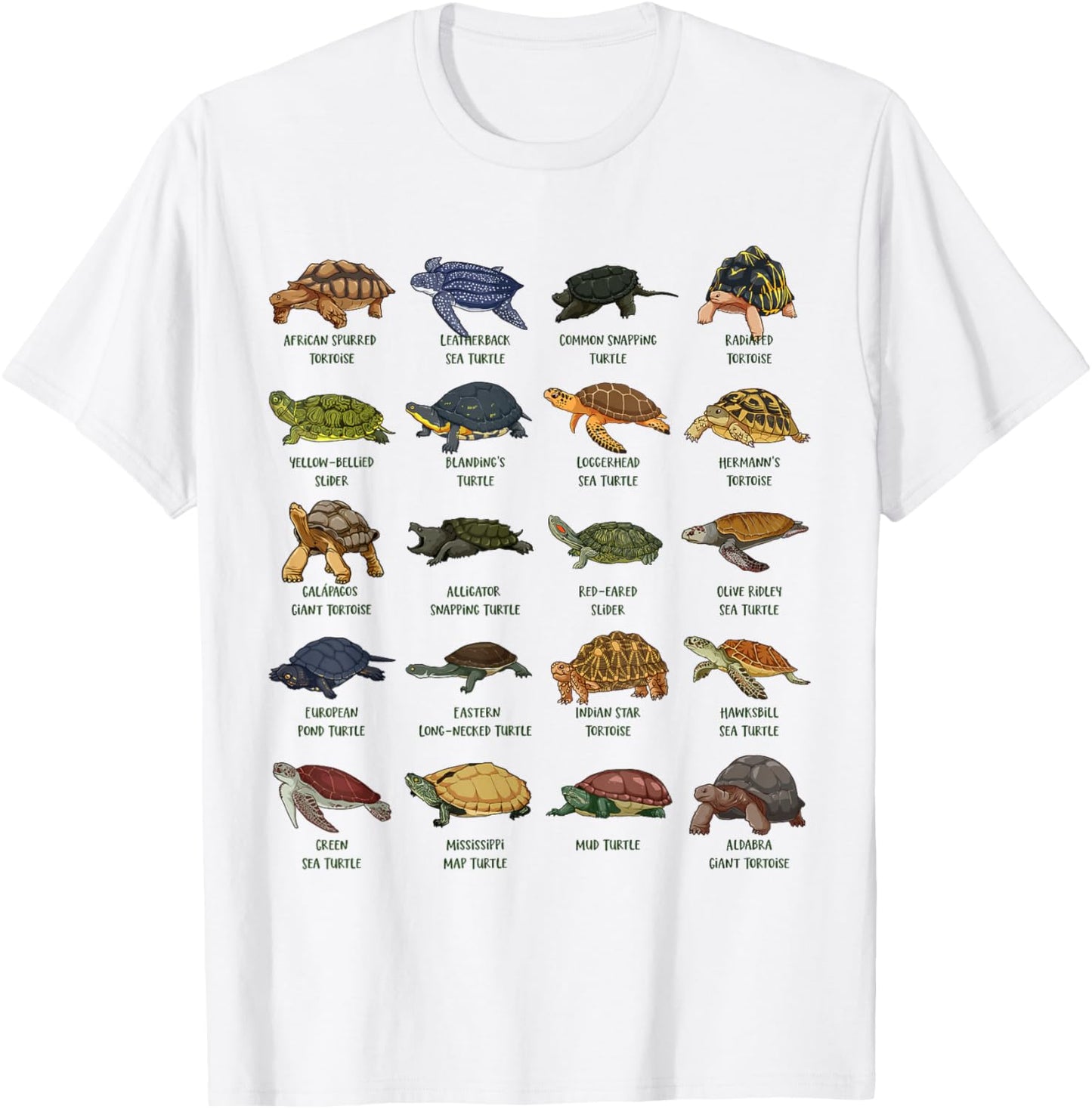 Tortoises and Turtles - Types of Turtles T-Shirt - T-Shirt | White