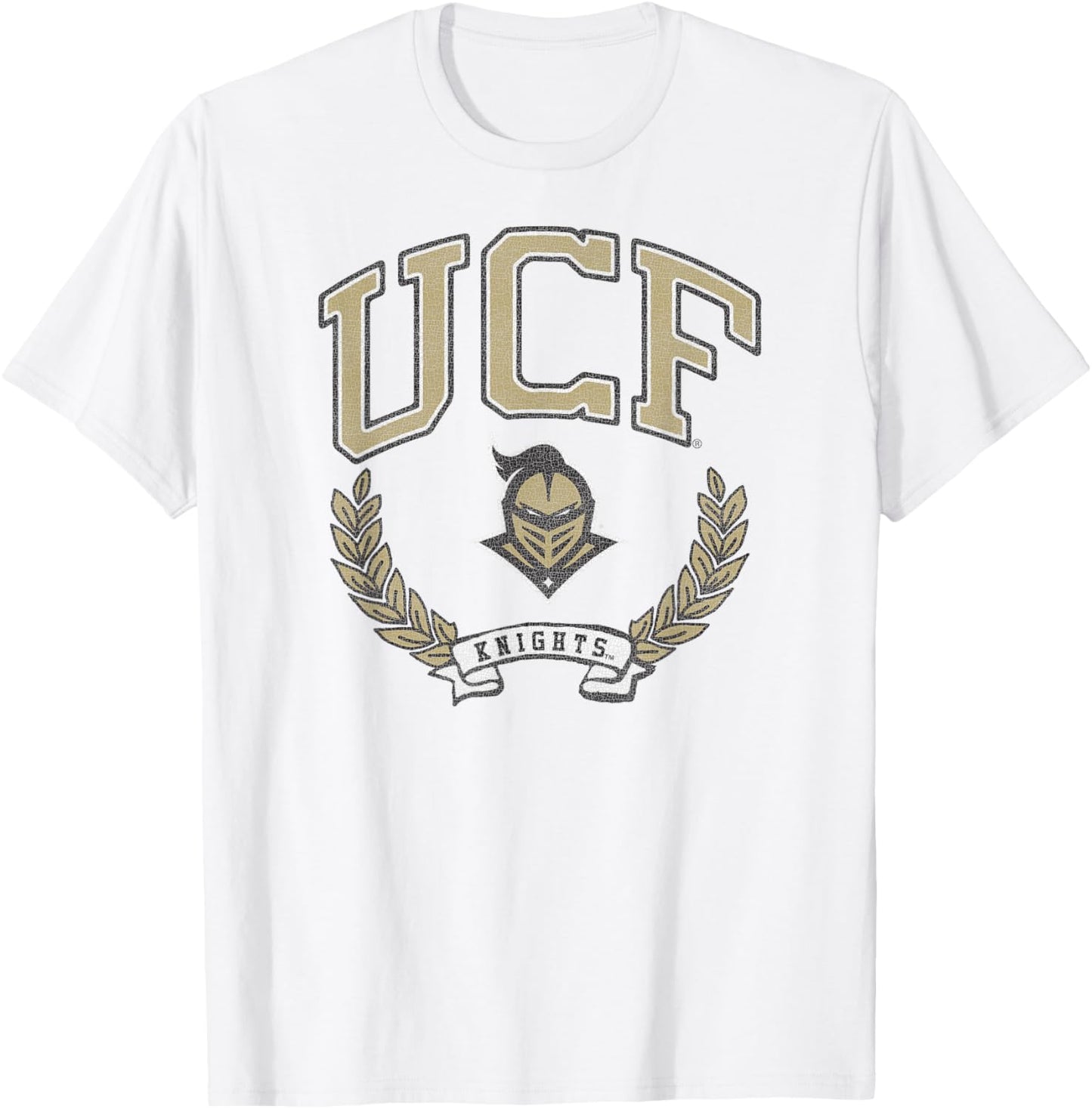 Central Florida Golden Knights Victory Vintage Gray T-Shirt - T-Shirt | White