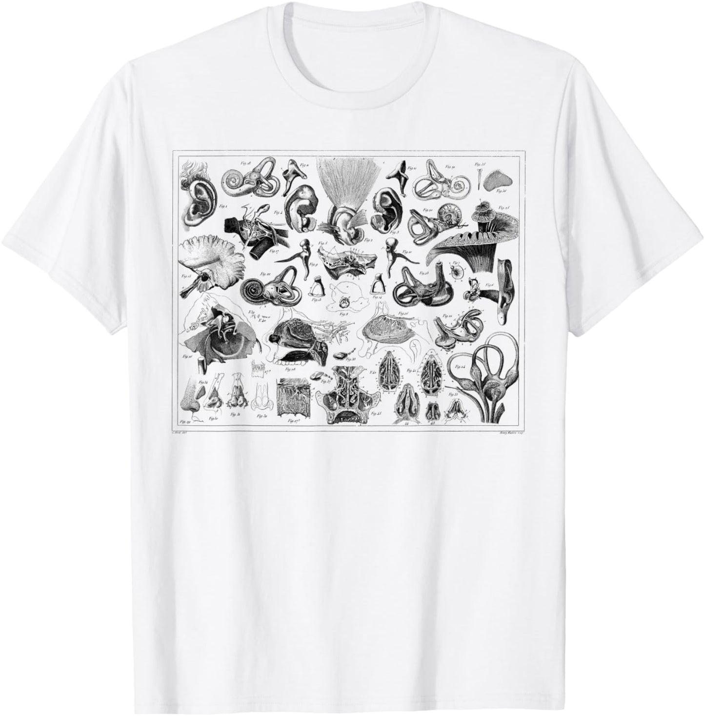 Inner Ear Anatomy Audiology Audiologist Vestibular Therapist T-Shirt - T-Shirt | White
