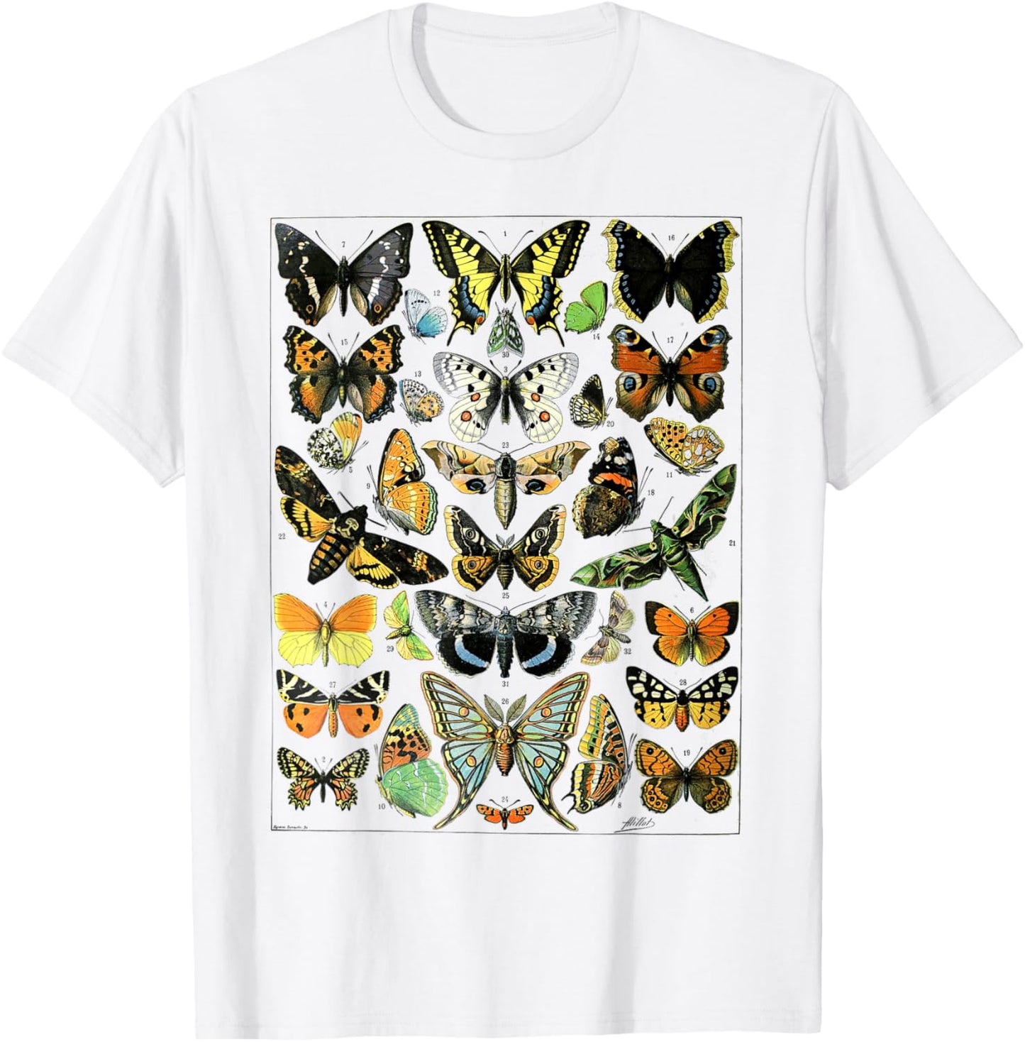 Butterflies Butterfly Collection Vintage Entomology T-Shirt - T-Shirt | White