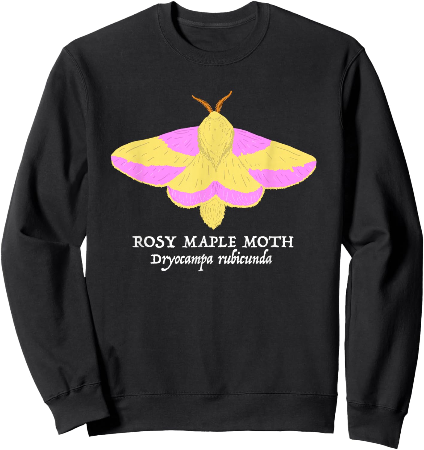 Rosy Maple Moth Dryocampa rubicunda Nature Wildlife Sweatshirt - Sweatshirt | Black