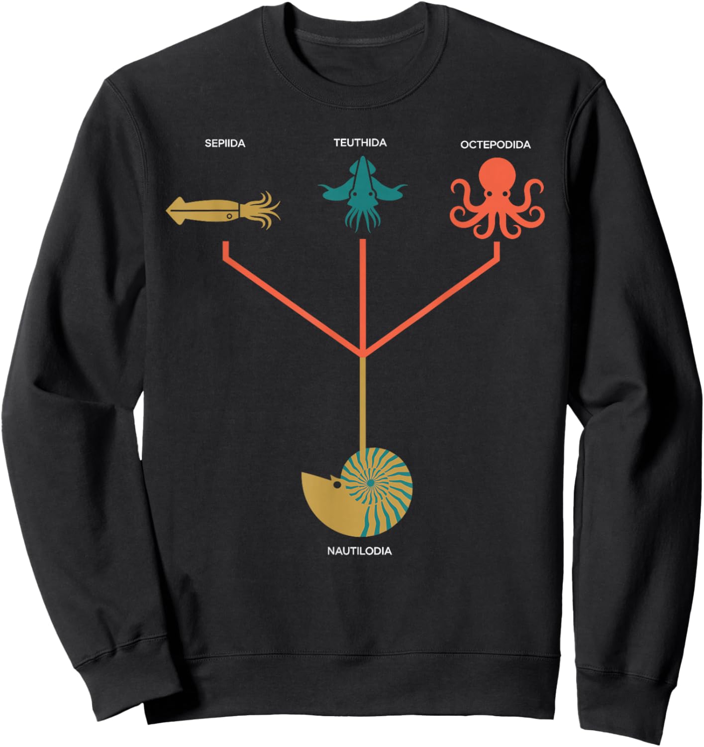 Cephalopod Phylogeny Chart Marine Biology Sweatshirt - Sweatshirt | Black