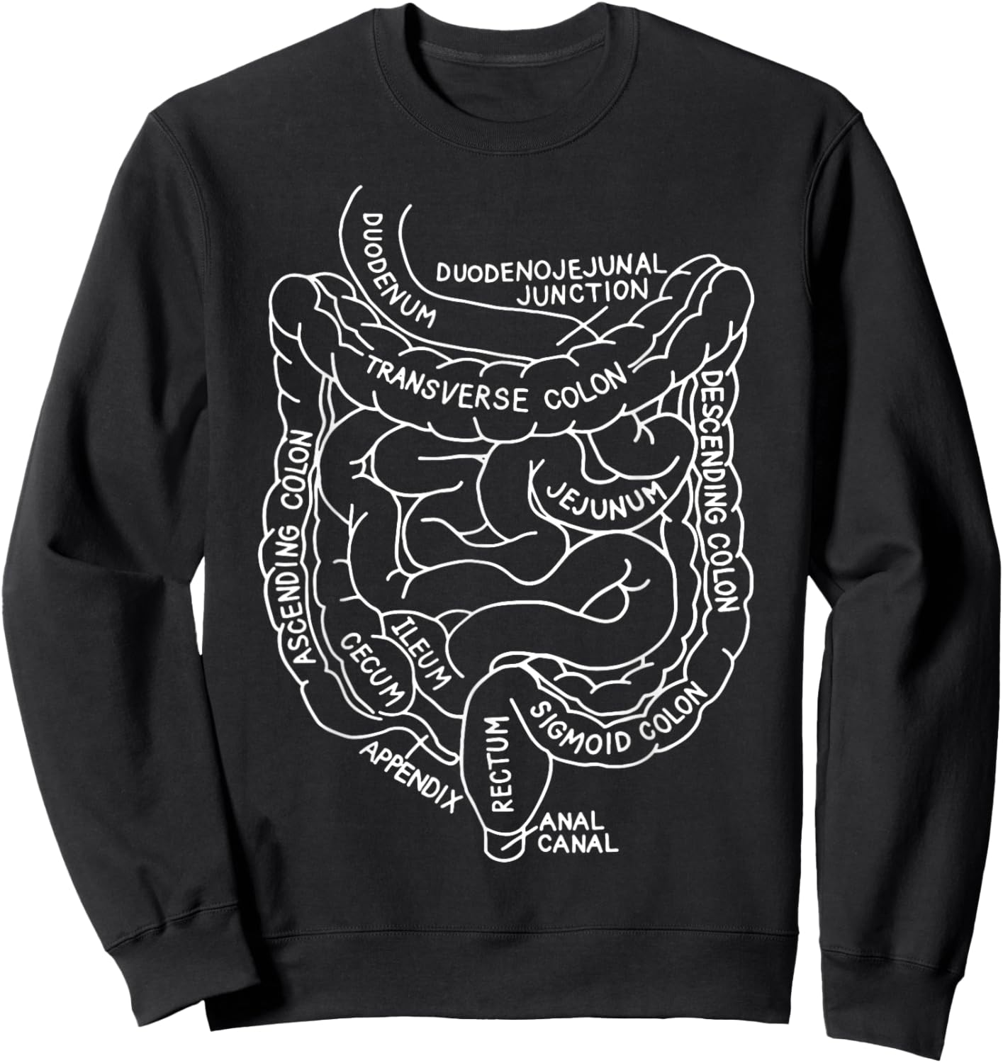 Digestive System Anatomy Gastroenterology Biology Teacher Sweatshirt - Sweatshirt | Black