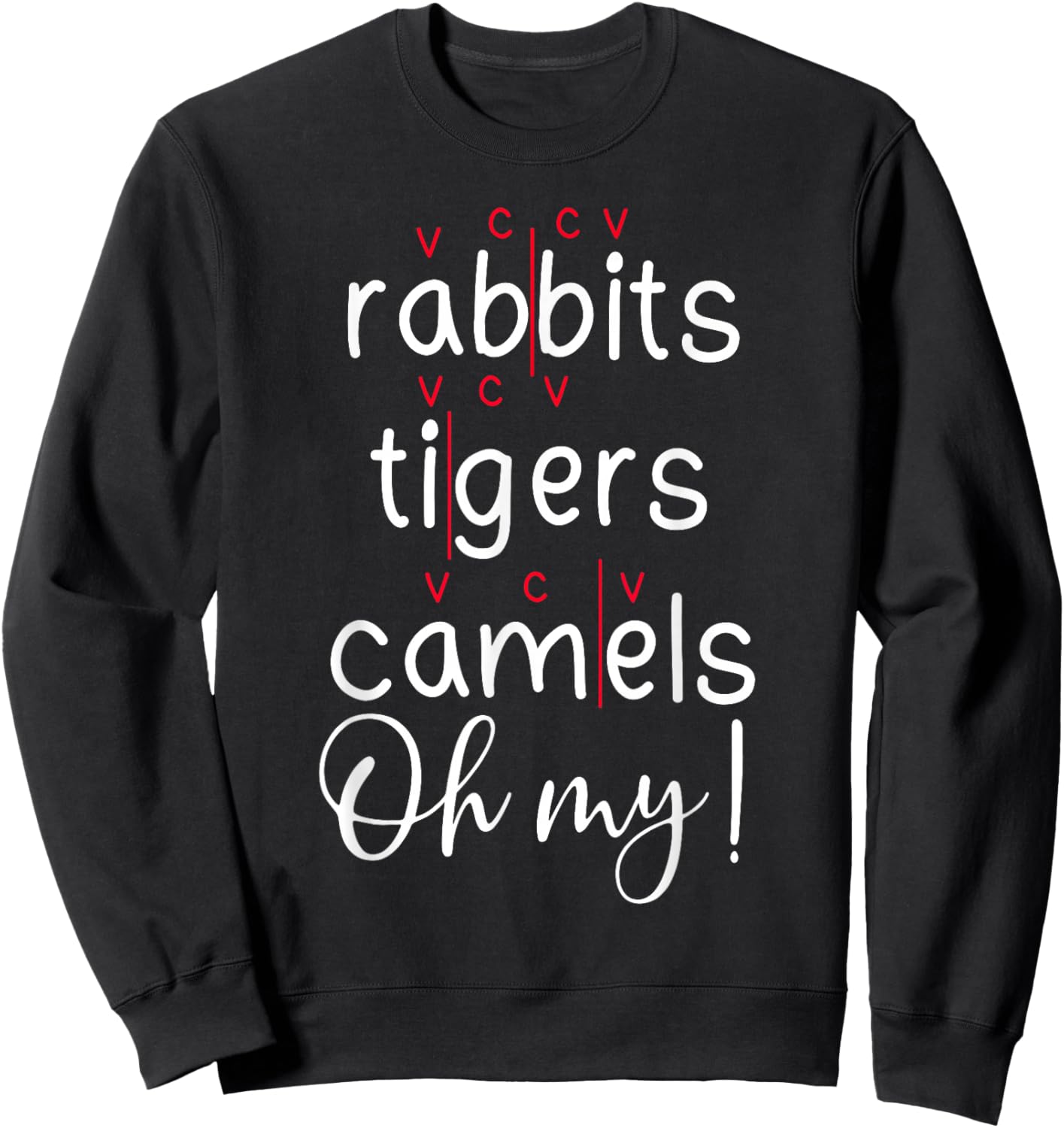 Syllable Division Teacher Science of Reading Phonemic Phonic Sweatshirt - Sweatshirt | Black
