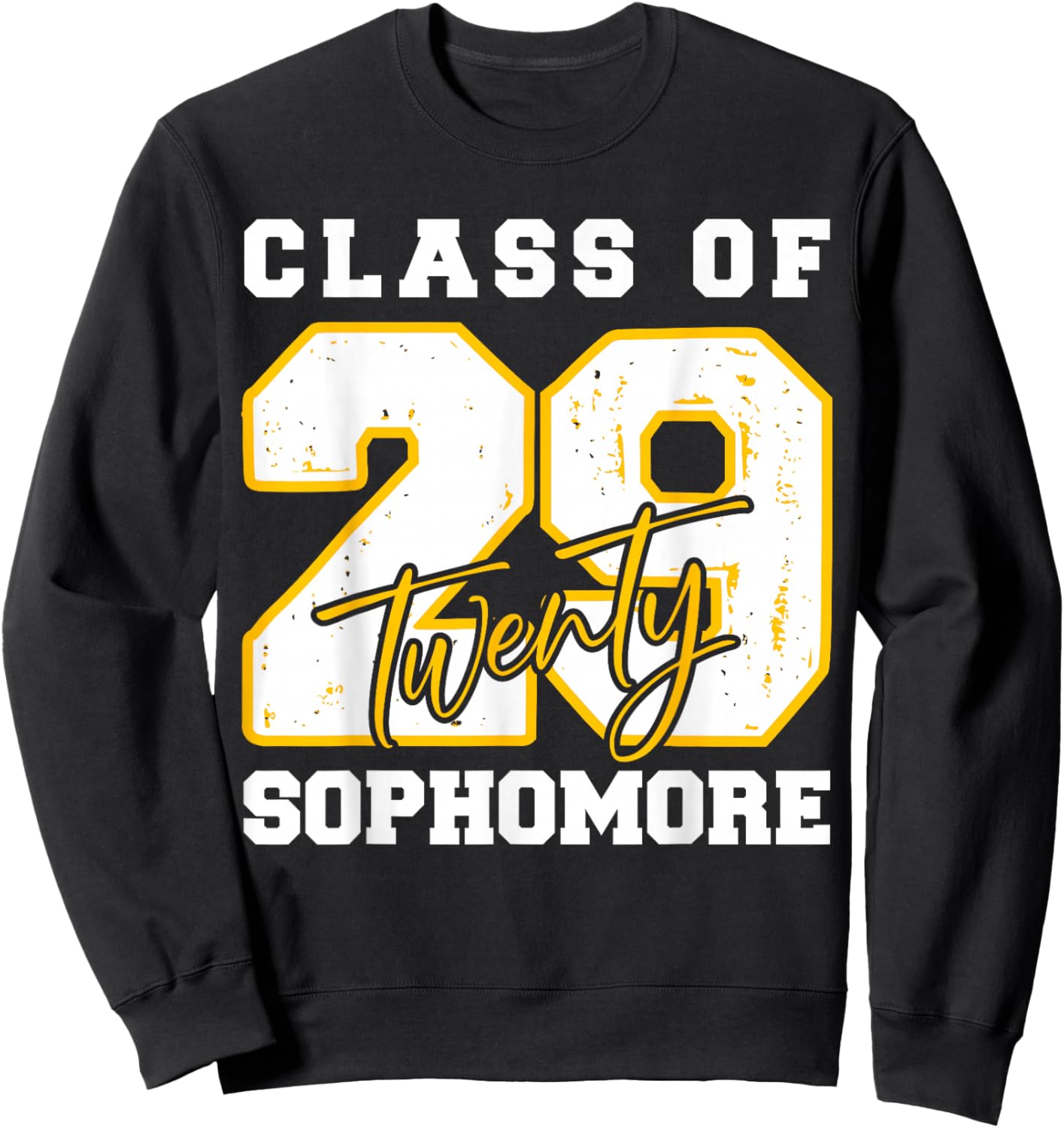 Sophomore Class of 2029 Twenty Nine High School Student Sweatshirt - Sweatshirt | Black