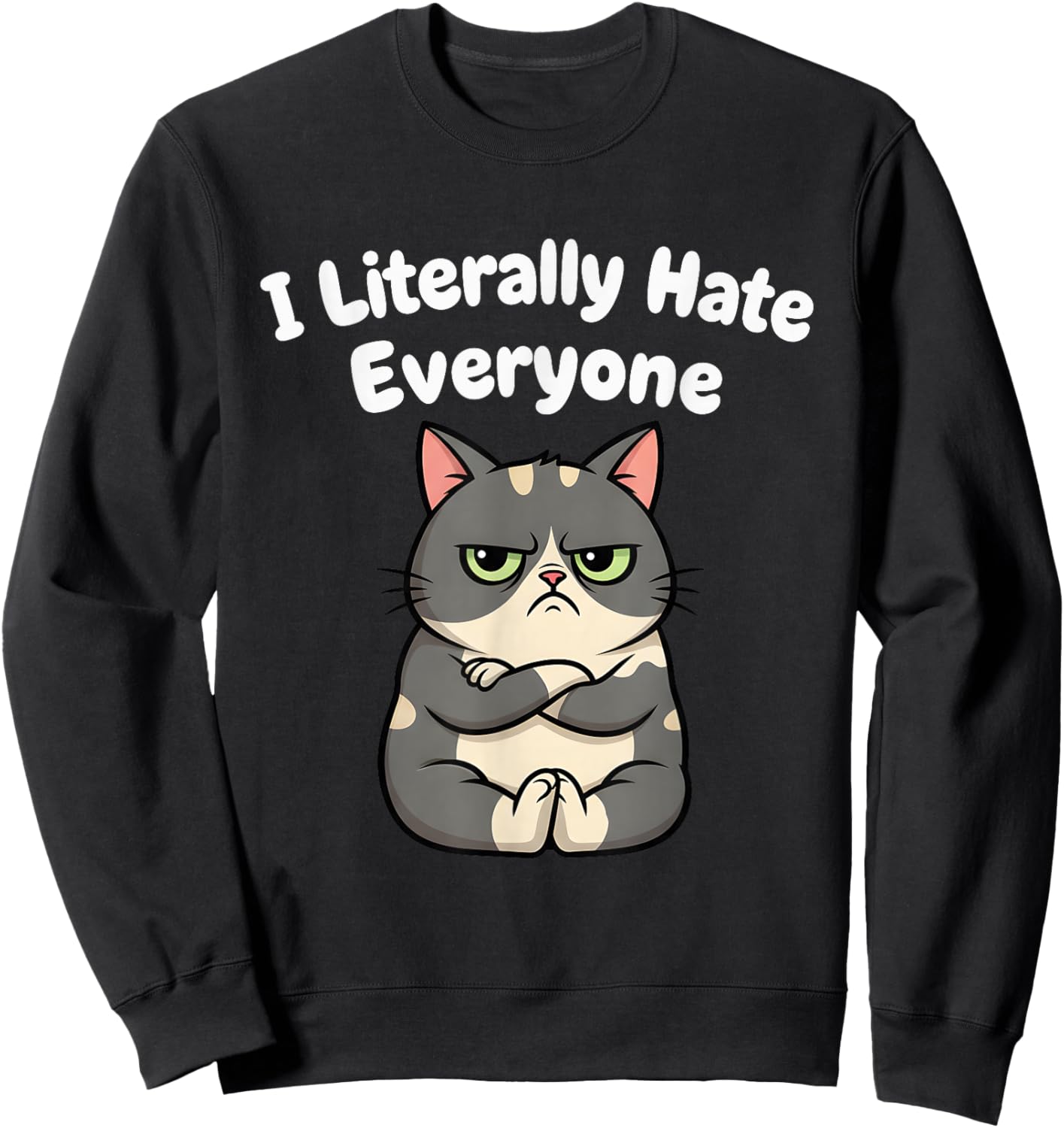I Literally Hate Everyone Funny Introvert Cat Women Sweatshirt - Sweatshirt | Black