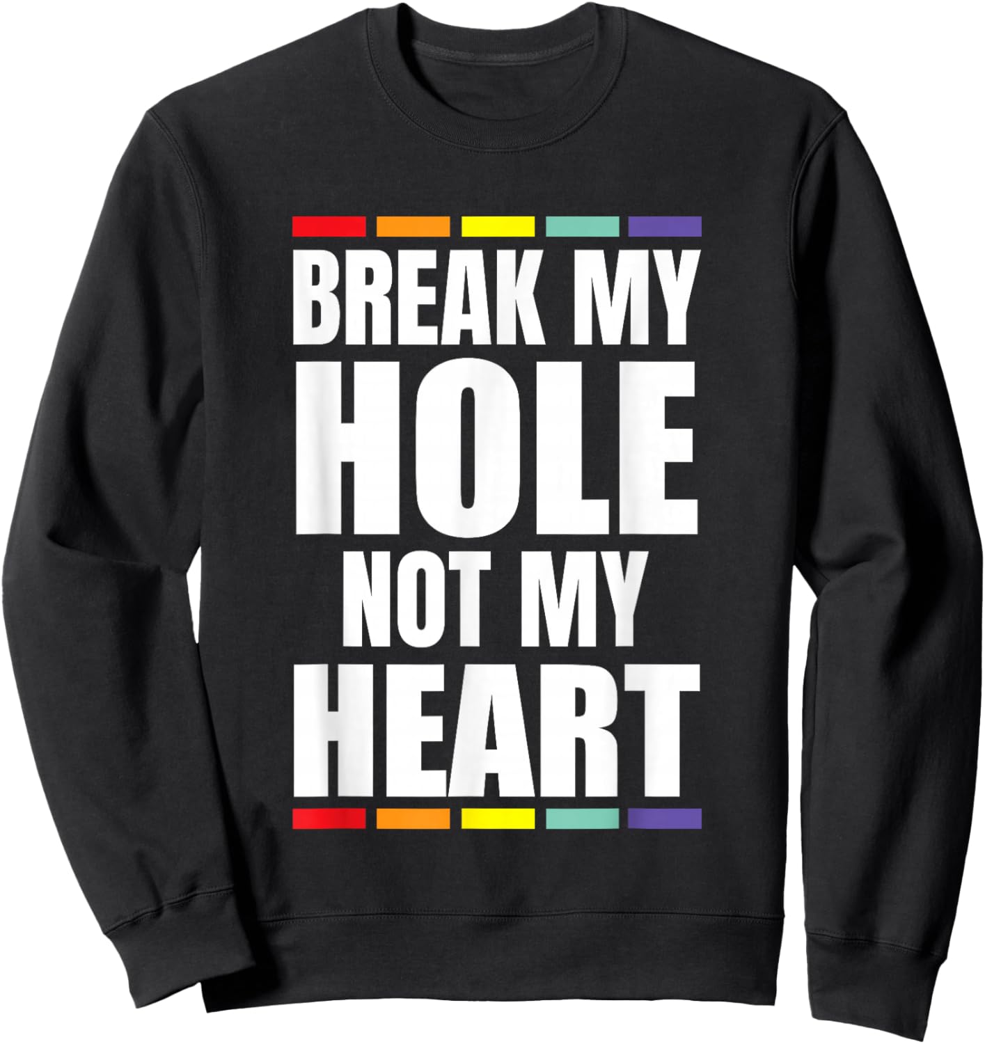 Break My Hole not My Heart Pride Rainbow Queer Gay CSD LGBTQ Sweatshirt - Sweatshirt | Black