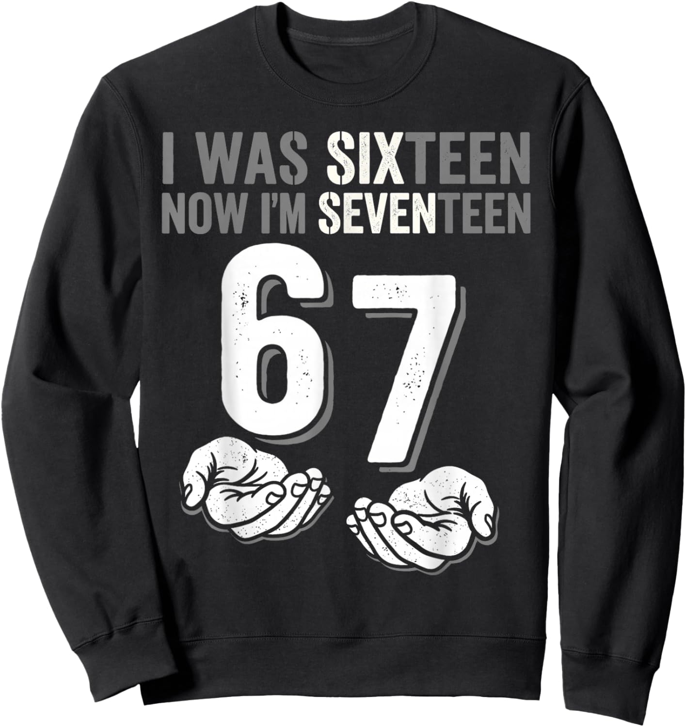I was 16 Now I’m 17 Year Old Funny Meme Retro Seventeen Sweatshirt - Sweatshirt | Black
