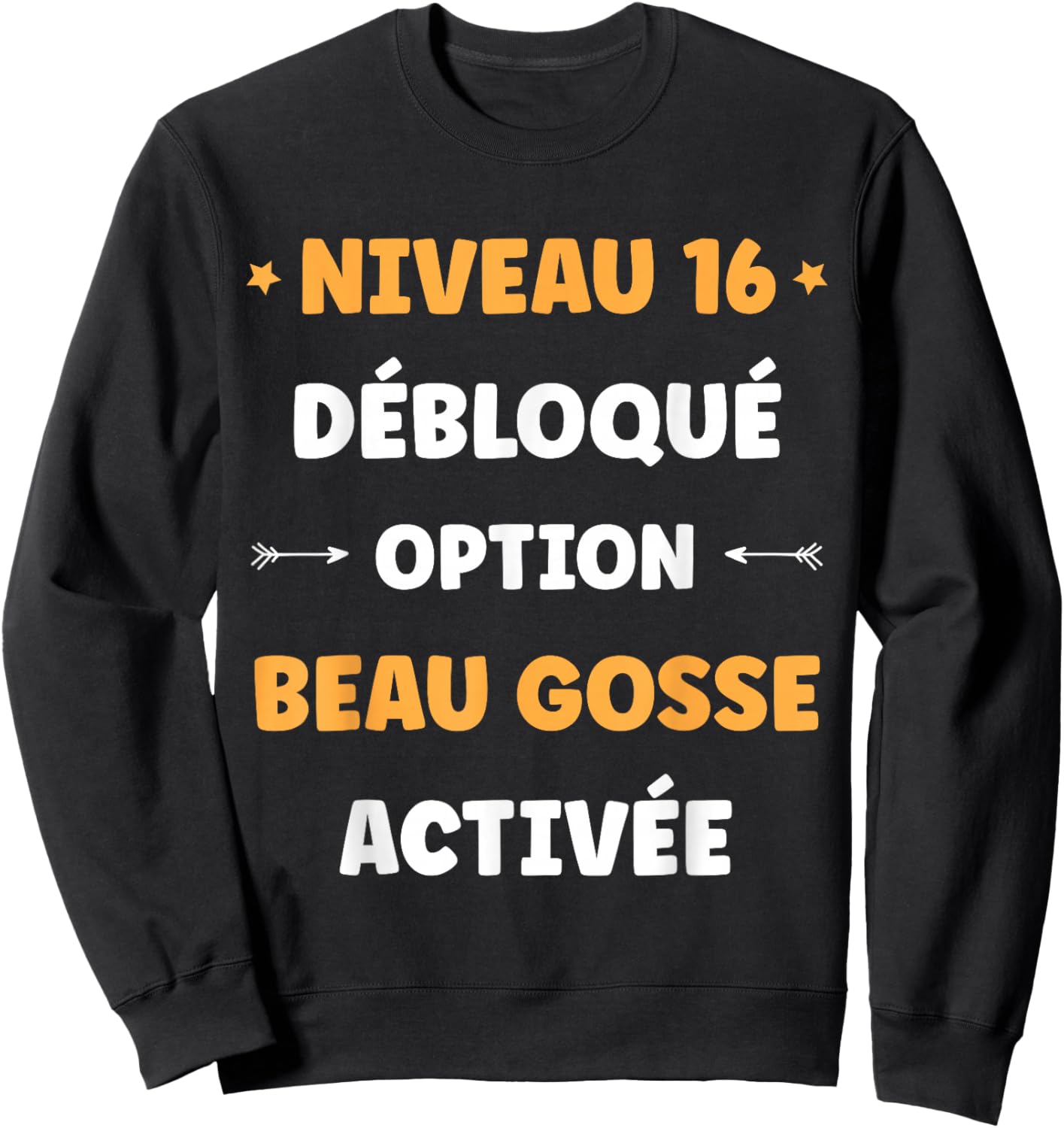 Drole garçon Niveau 16 Ans Geek Anniversaire Humour 16 Ans Sweatshirt - Sweatshirt | Black