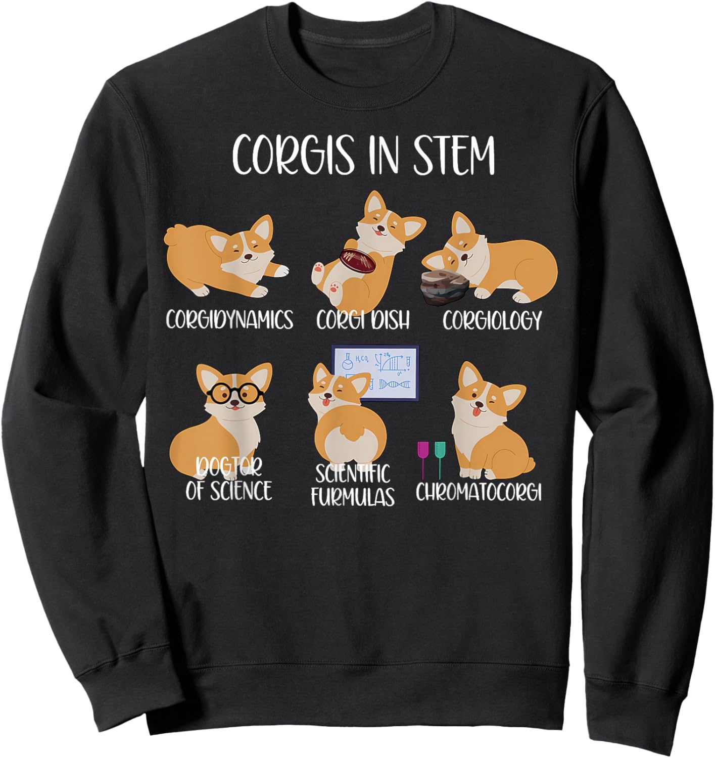 Funny Corgis In STEM Corgi Dog Lover Science Teacher Student Sweatshirt - Sweatshirt | Black