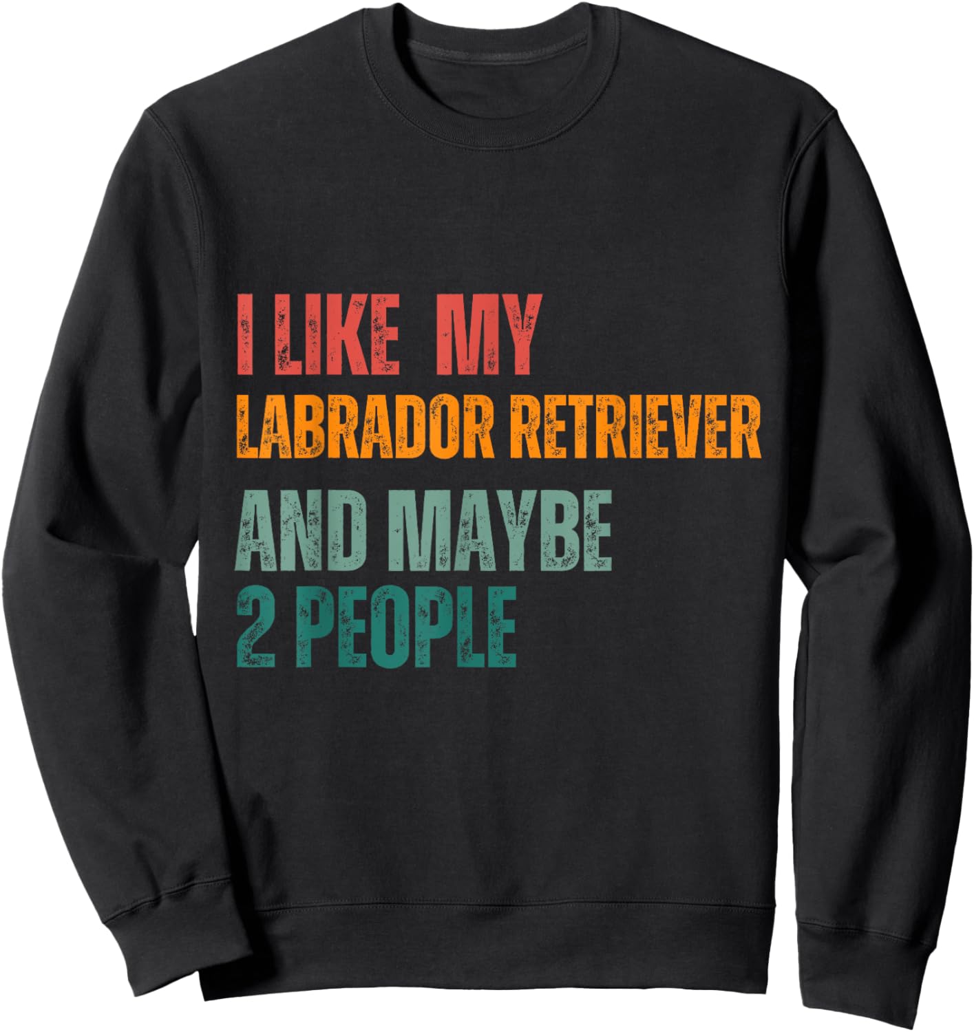 I Like my Labrador retriever & Maybe 2 People Dogs Lover Sweatshirt - Sweatshirt | Black