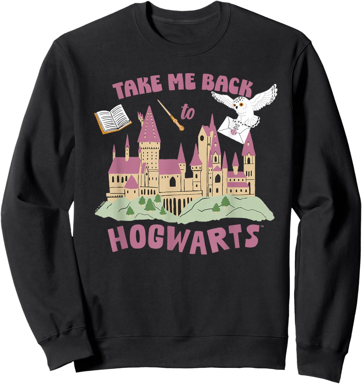 Harry Potter Take Me Back To Hogwarts Sweatshirt - Sweatshirt | Black