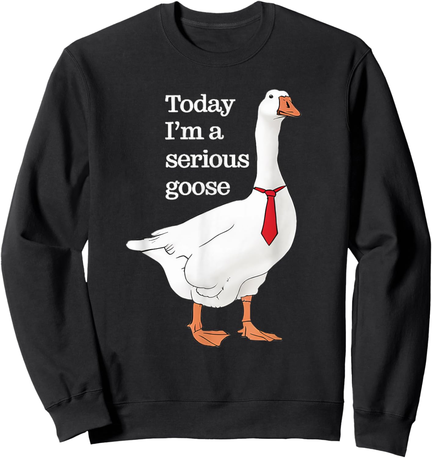 Today I Am A Serious Goose Funny Oddly Specific Dank Meme Sweatshirt - Sweatshirt | Black
