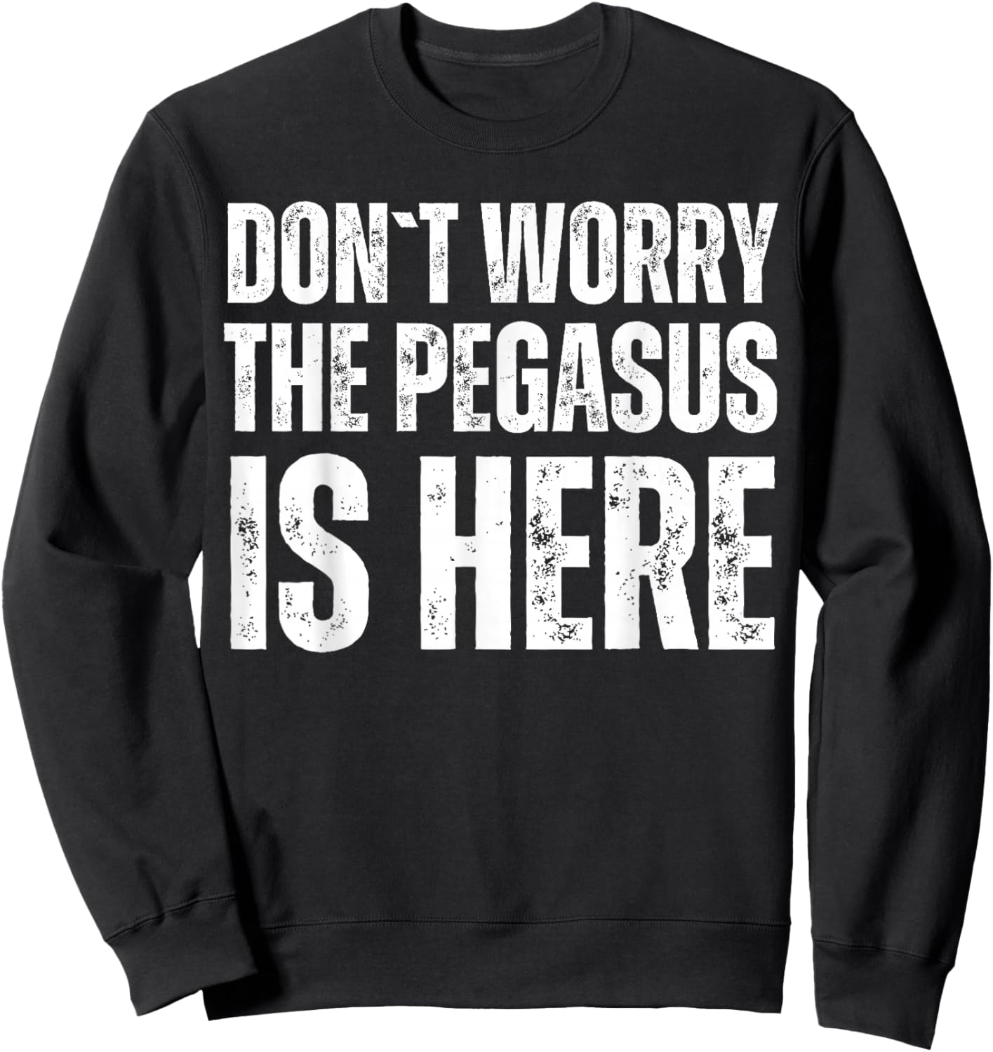 Dont Worry The Pegasus Is Here Sweatshirt - Sweatshirt | Black
