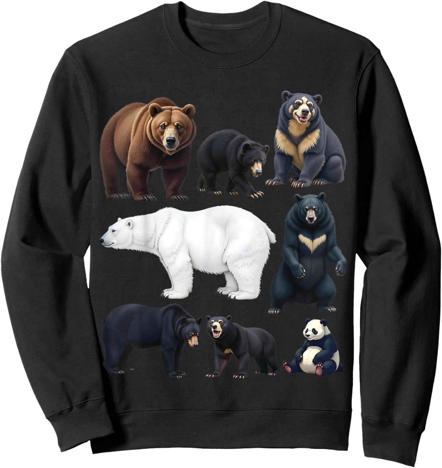 Types of Bears Wildlife Animal Lovers Nature Explorer Sweatshirt - Sweatshirt | Black