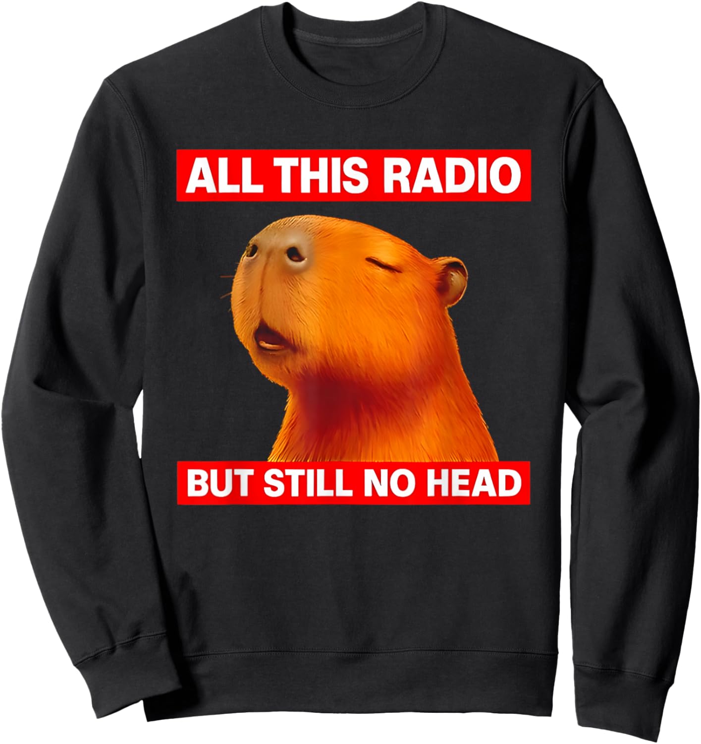 All This Radio But Still No Head Capybara Sweatshirt - Sweatshirt | Black