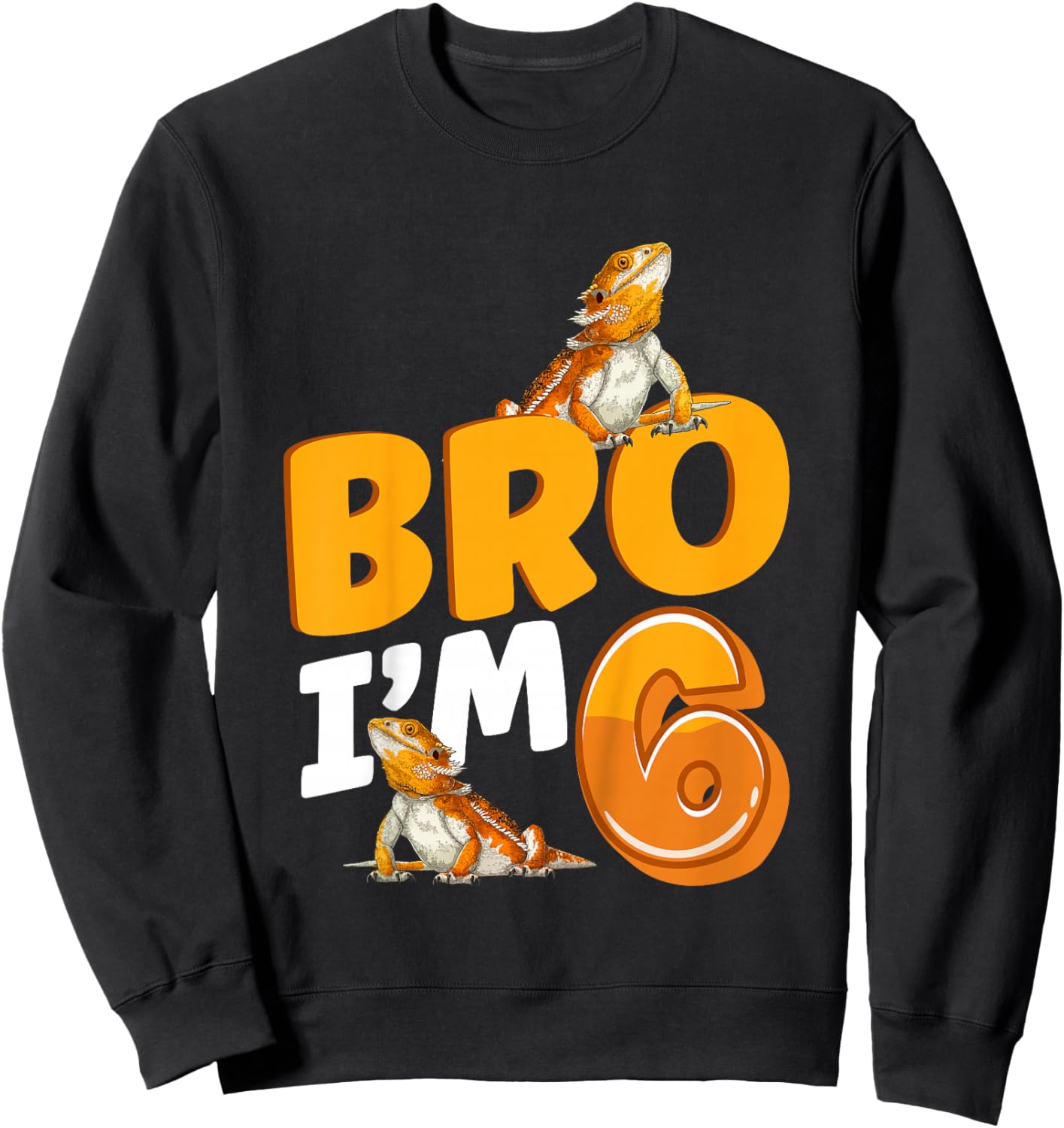 6th Reptile Birthday Six Year Old Bearded Dragon Birthday Sweatshirt - Sweatshirt | Black