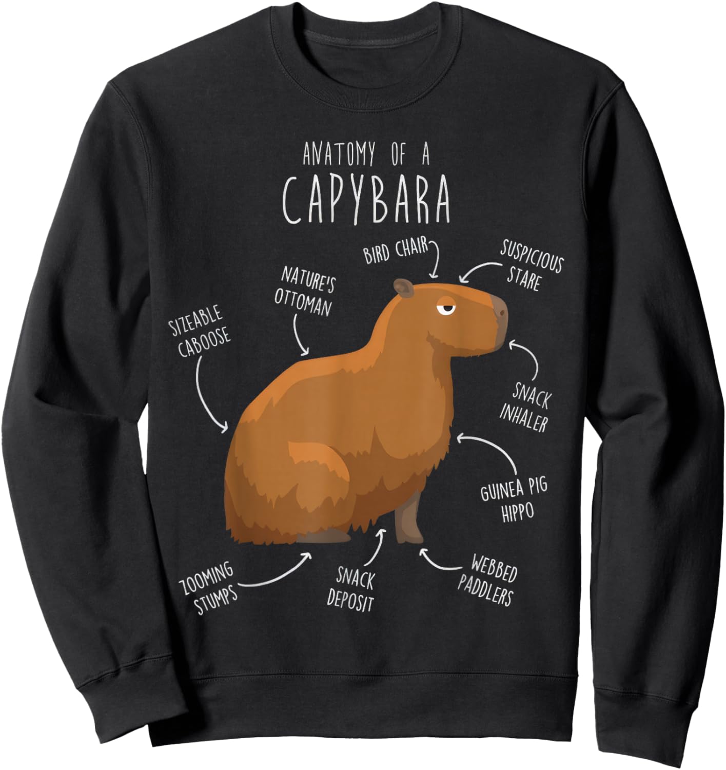 Anatomy Of A Capybara Funny Cute Capybara Lover Kawaii Amine Sweatshirt - Sweatshirt | Black
