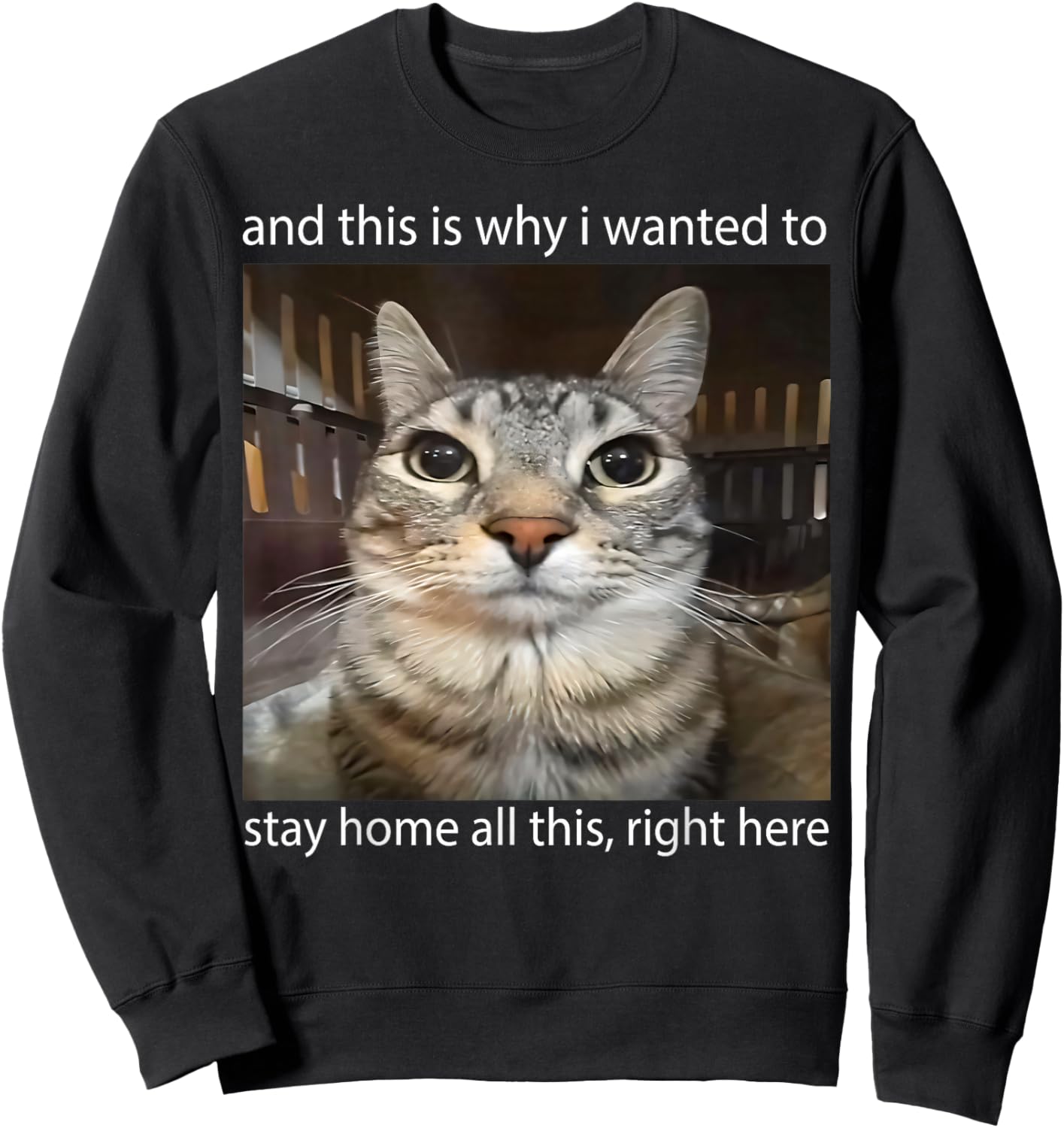 Silly Staring Cat Meme and This is Why I Wanted to Stay Home Sweatshirt - Sweatshirt | Black