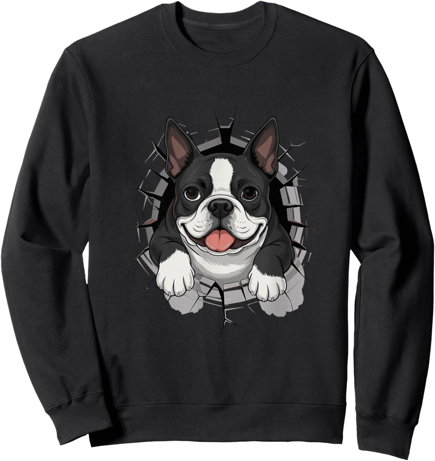 Cracked Wall Boston Terrier Sweatshirt - Sweatshirt | Black