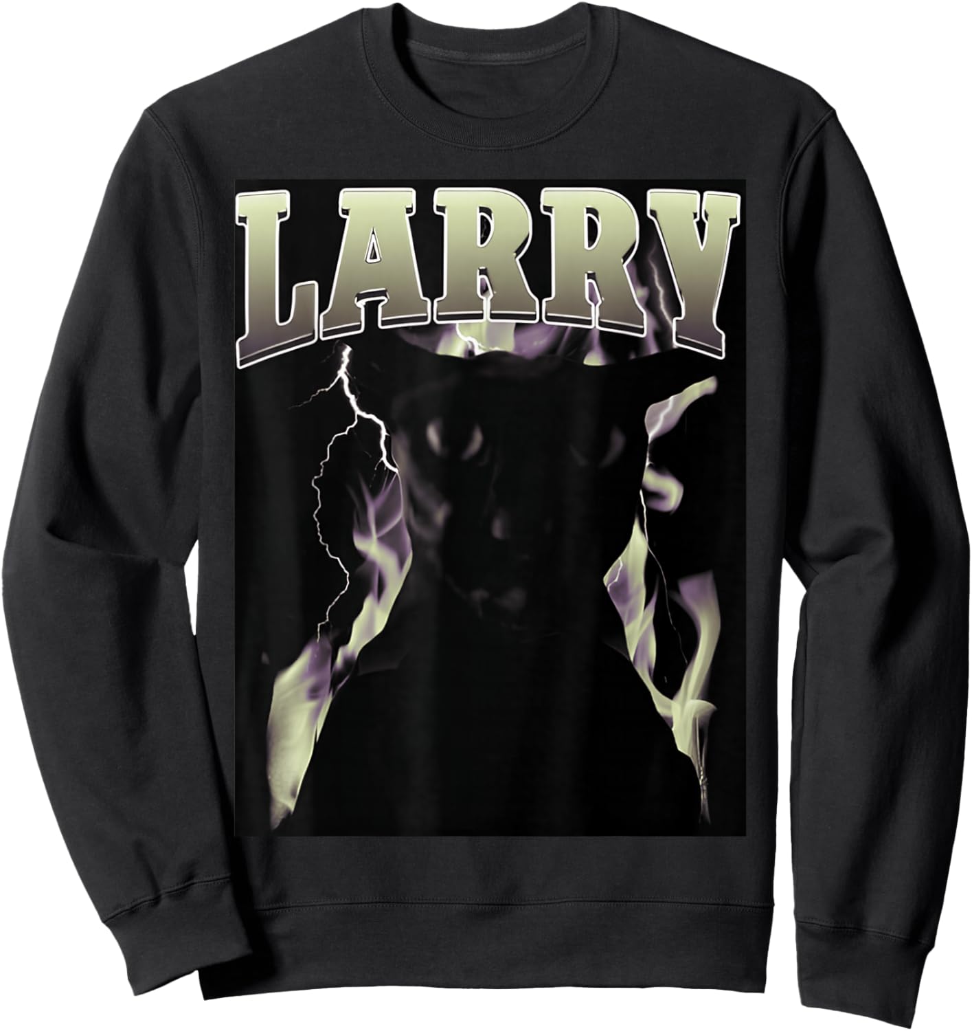 Larry Cat Funny Cats and Cute Sweatshirt - Sweatshirt | Black