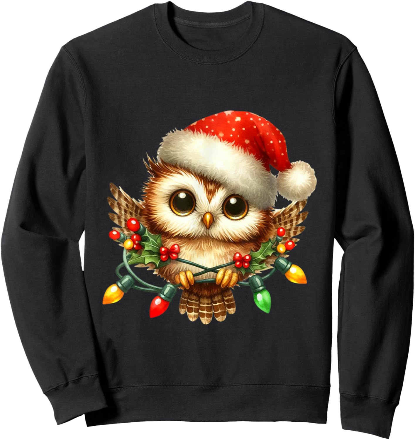 Owl Christmas Lights Santa Hat Xmas Owl Lover Sweatshirt - Sweatshirt | Black