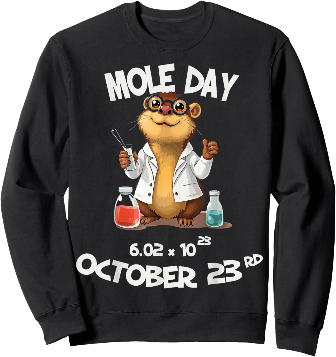 Funny Mole Day Avogadro's Number October 23rd Sweatshirt - Sweatshirt | Black
