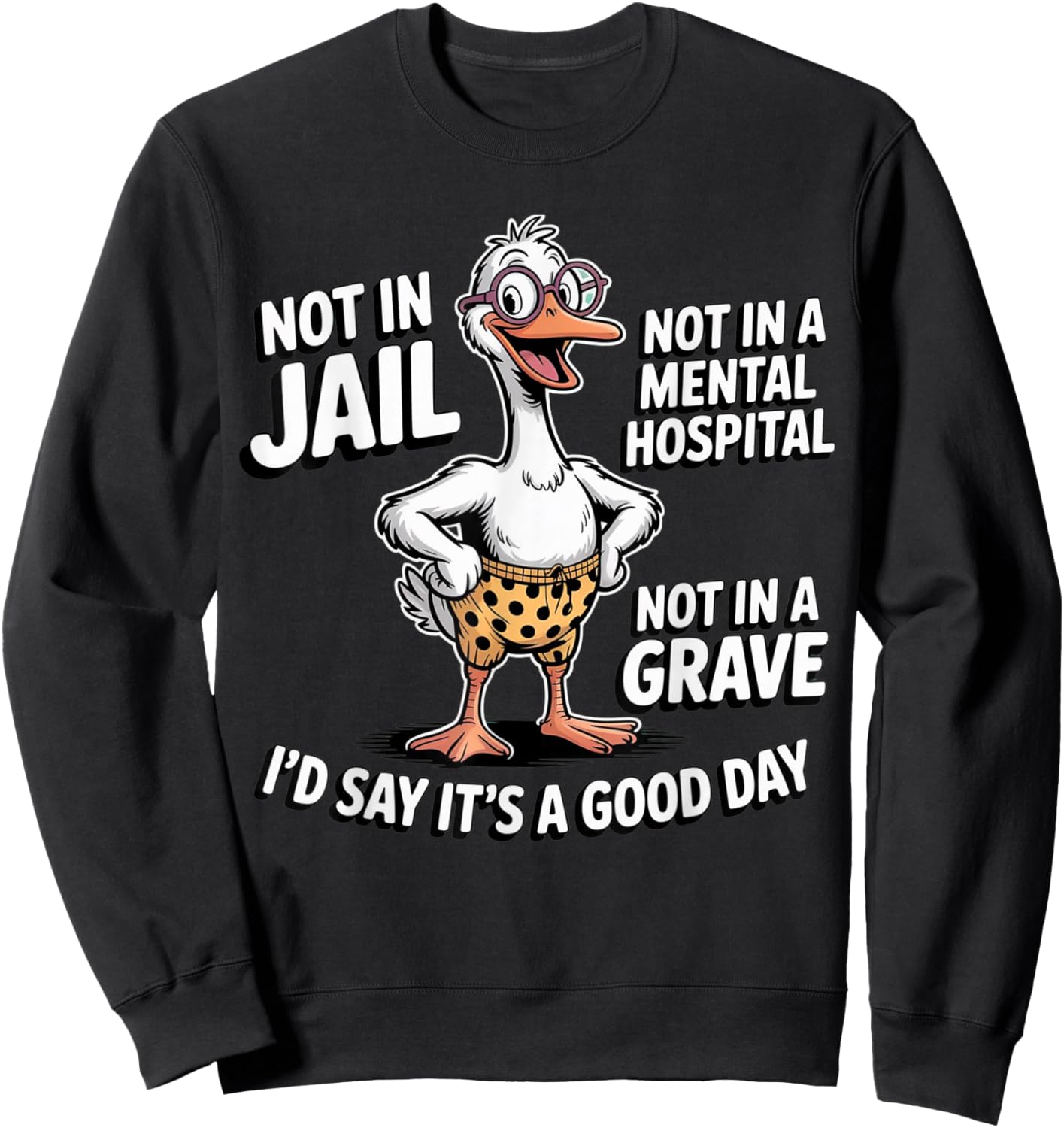 Not in Jail Not in A Mental Hospital Not in A Grave Funny Sweatshirt - Sweatshirt | Black