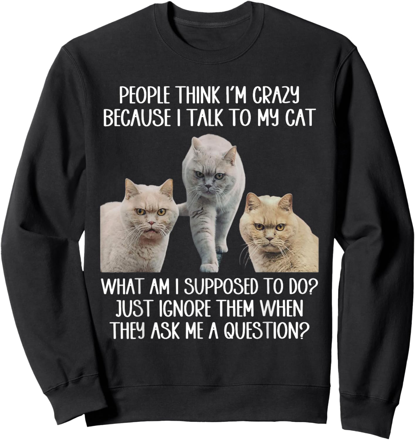People Think I'm Crazy Because I Talk To My Cat Men Women Sweatshirt - Sweatshirt | Black