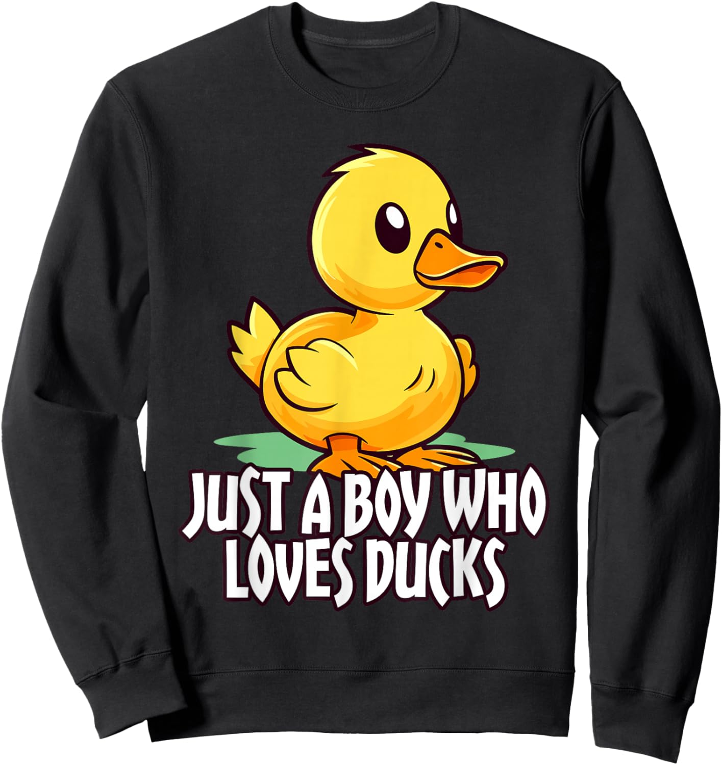 Cute Cartoon for Duck Lover Just a Boy Who Loves Ducks Gifts Sweatshirt - Sweatshirt | Black