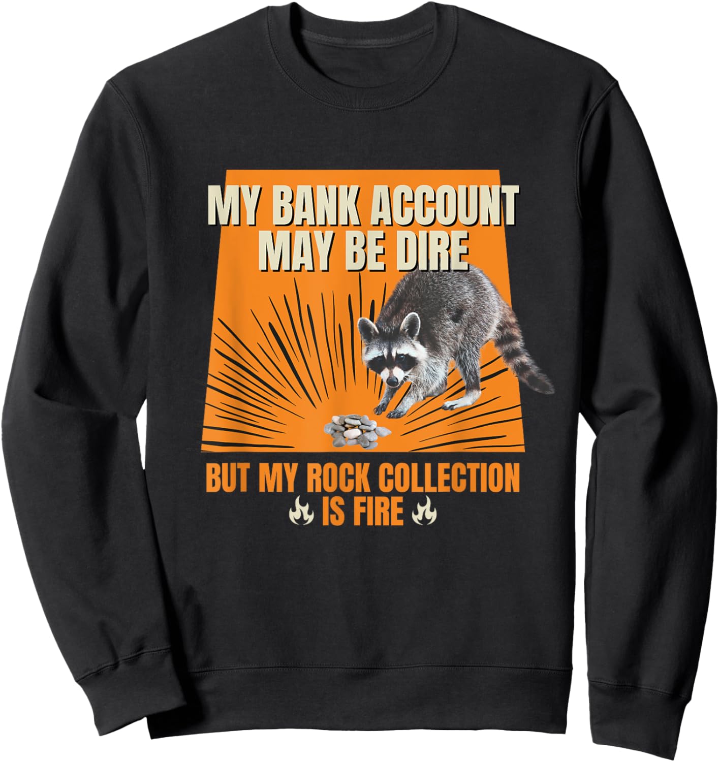 My Bank Account Be Dire My Rock Collection Is Fire Raccoon Sweatshirt - Sweatshirt | Black