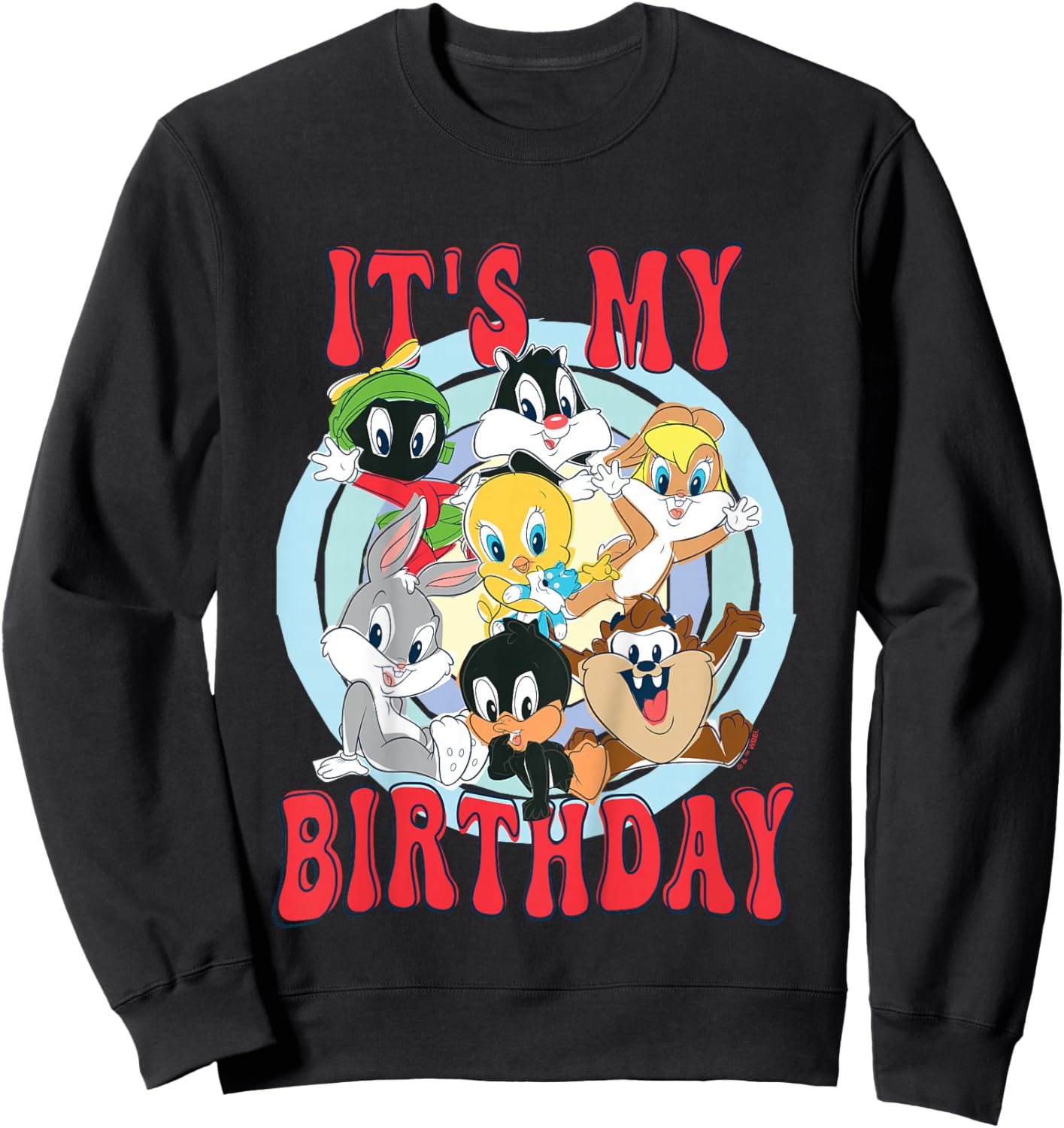 Kids Looney Tunes Looney Group Kid Drawn It's My Birthday Sweatshirt - Sweatshirt | Black