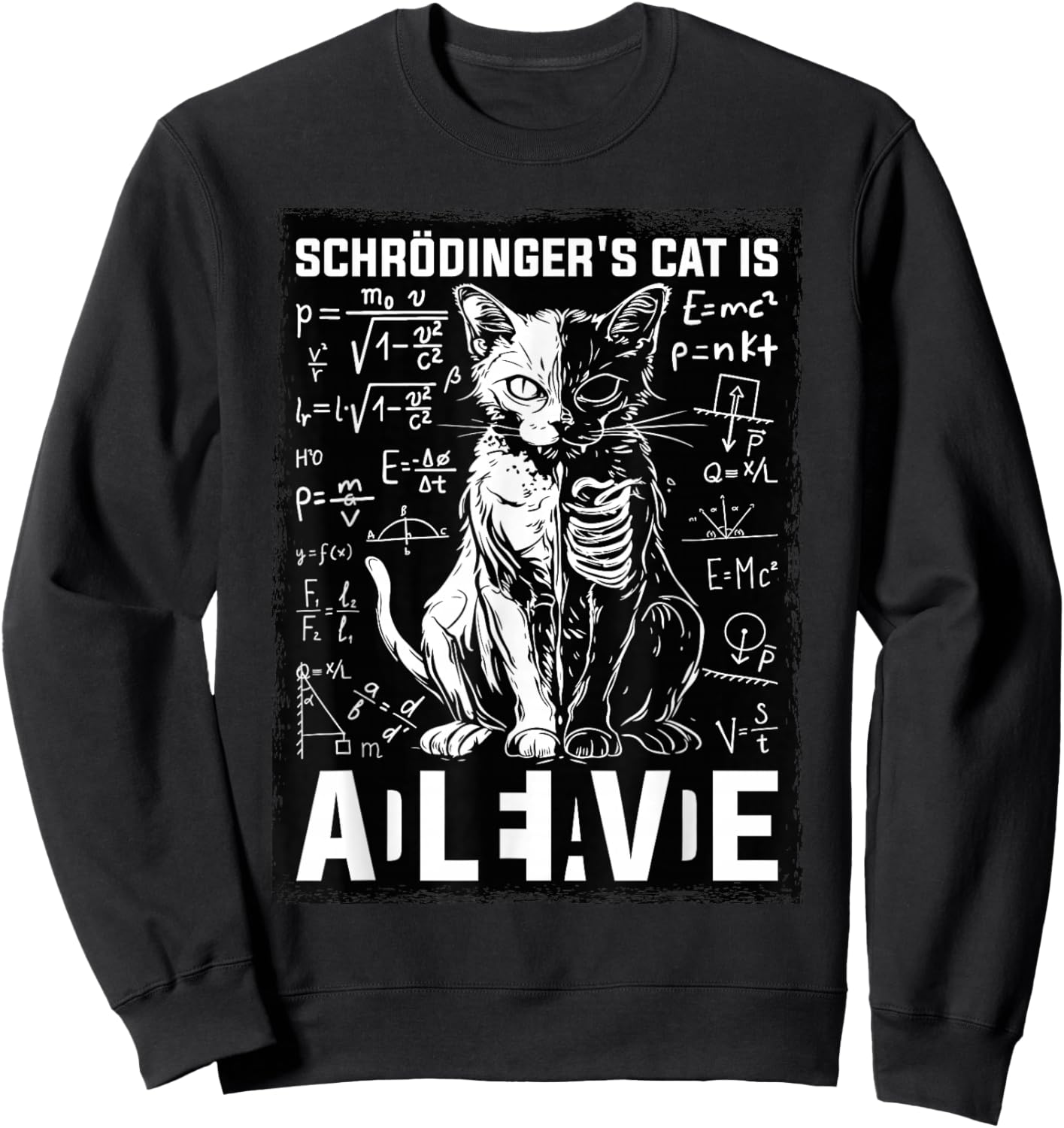 Schrodinger's Cat Dead And Alive Physics Sweatshirt - Sweatshirt | Black