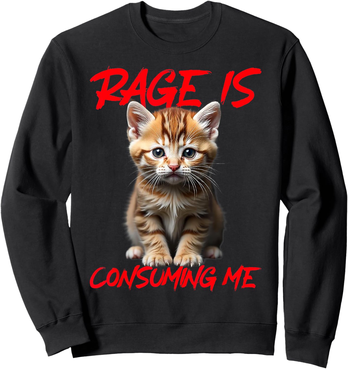 Rage Is Consuming Me Cute Angry Kitten Funny Cat Women Sweatshirt - Sweatshirt | Black