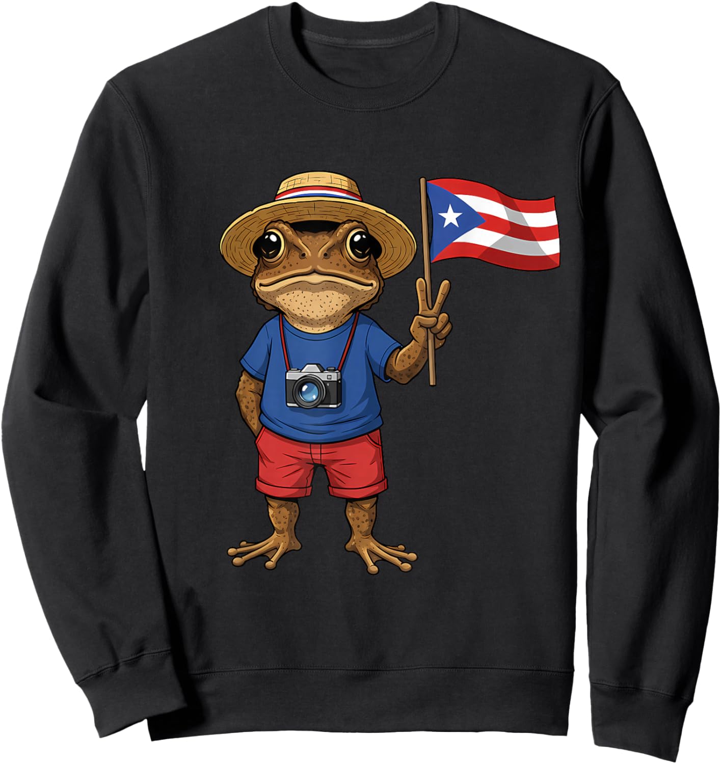 Coqui Frog Puerto Rico Flag Puerto Rico Taino Boricua Sweatshirt - Sweatshirt | Black