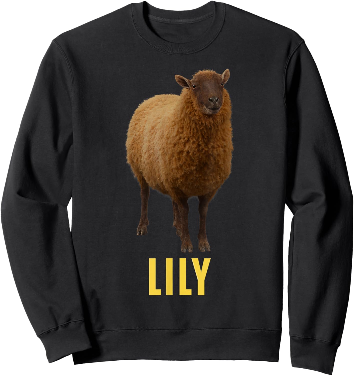 Lily Sweatshirt - Sweatshirt | Black